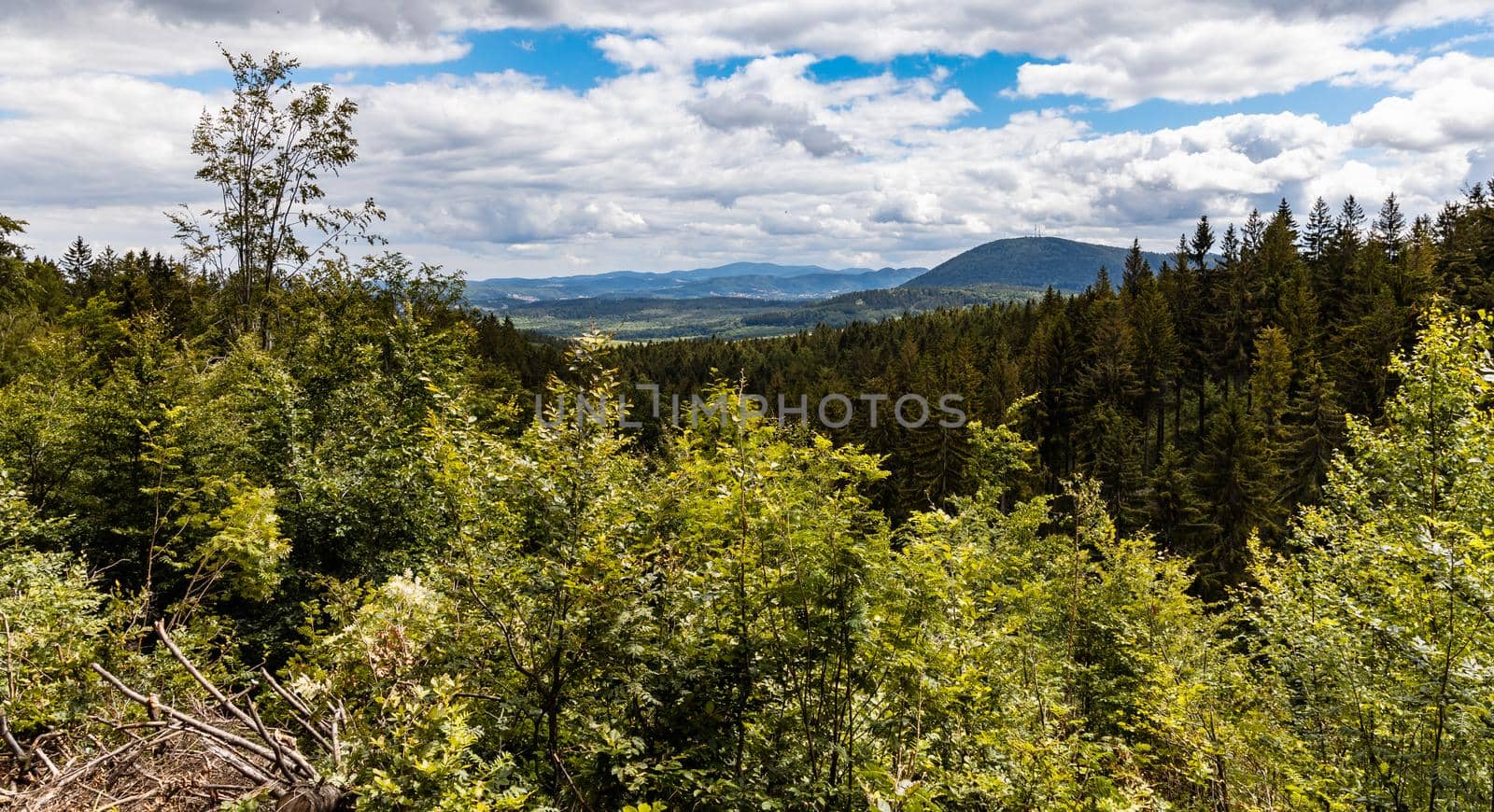 Beautiful panorama of Walbrzych mountains over trees and bushes