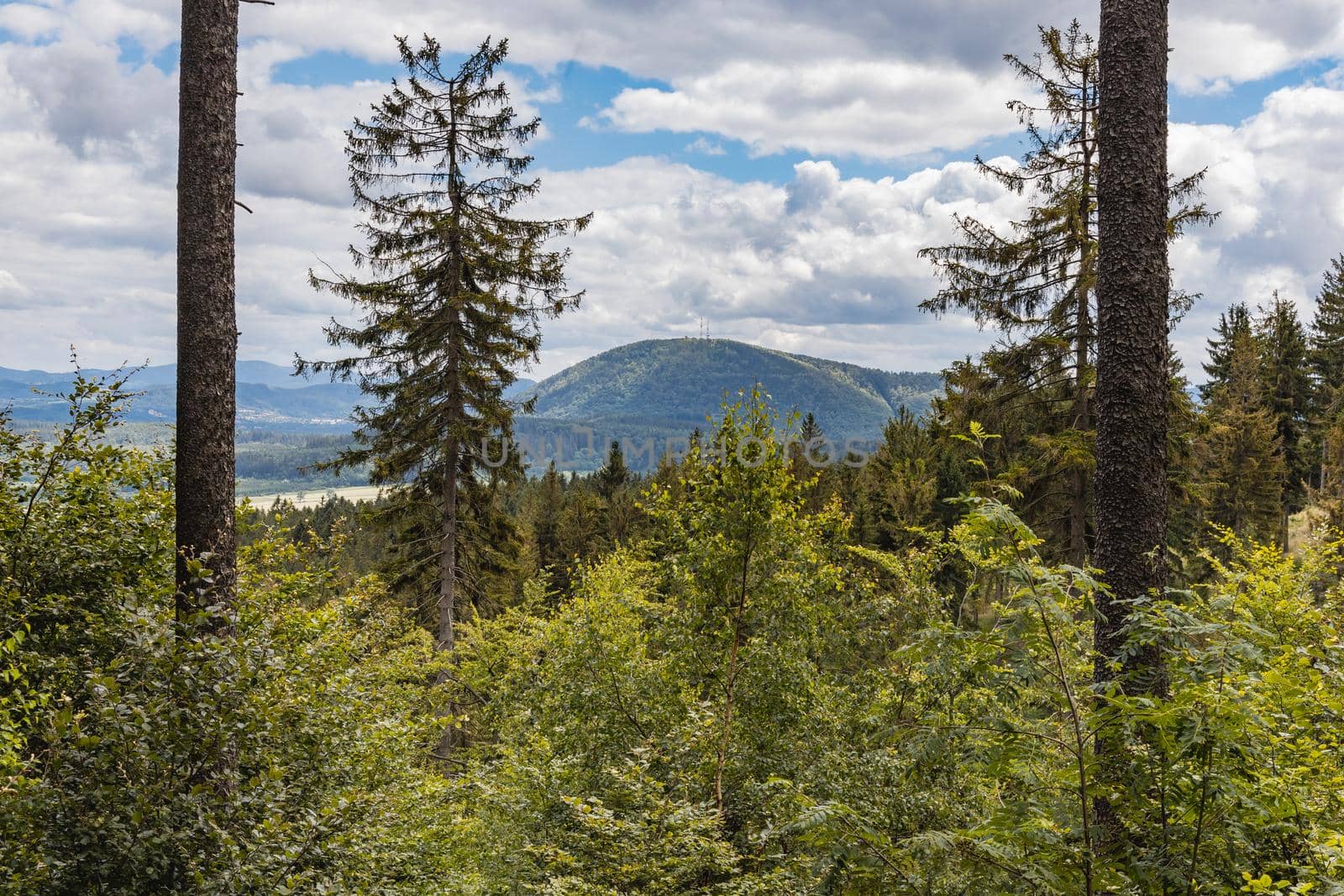 Beautiful panorama of Walbrzych mountains over trees and bushes by Wierzchu