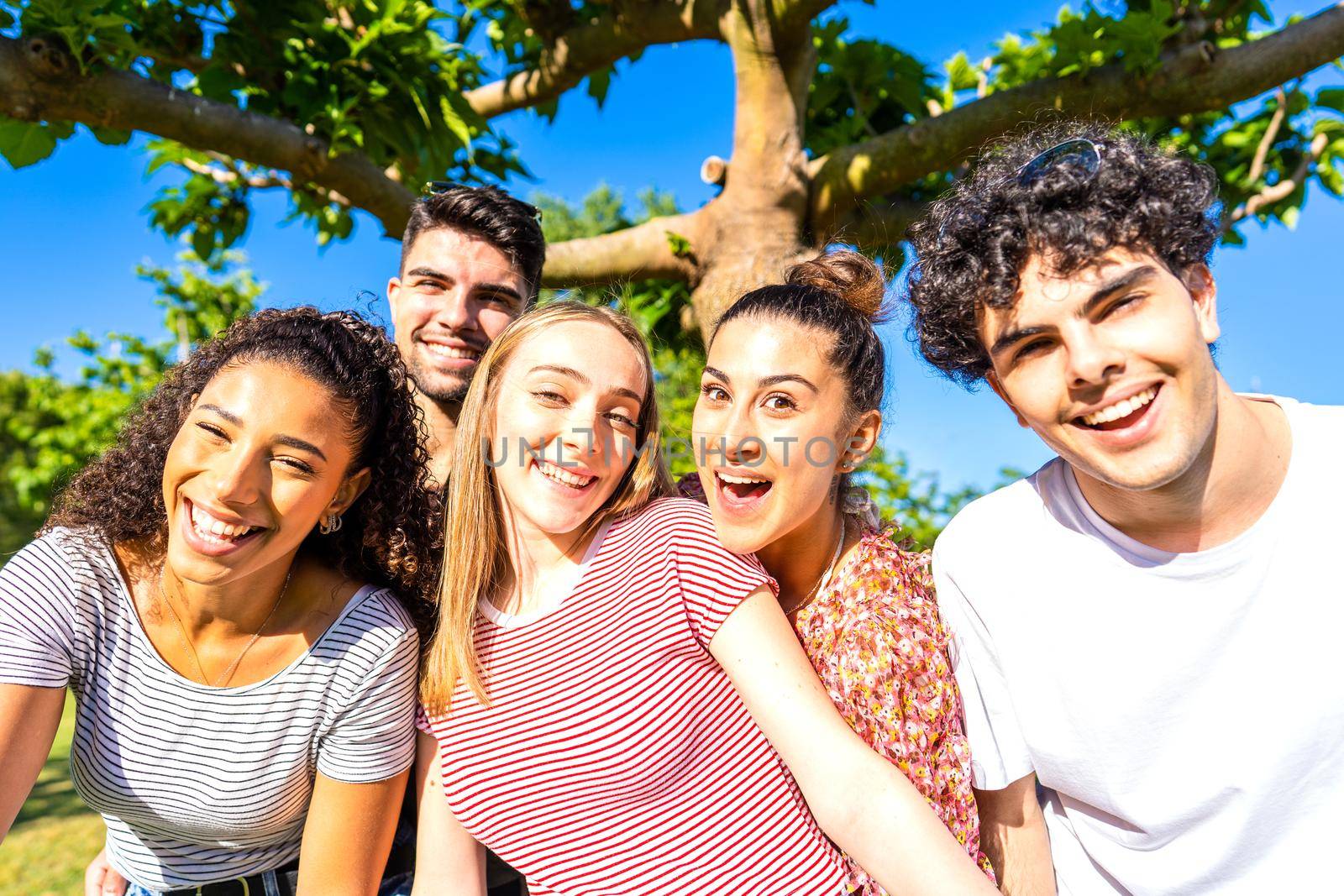 Group of five very happy friends having fun at the park posing looking at camera for a portrait. Gen z multiracial carefree young women and men together in a city park living nature in the summer sun by robbyfontanesi