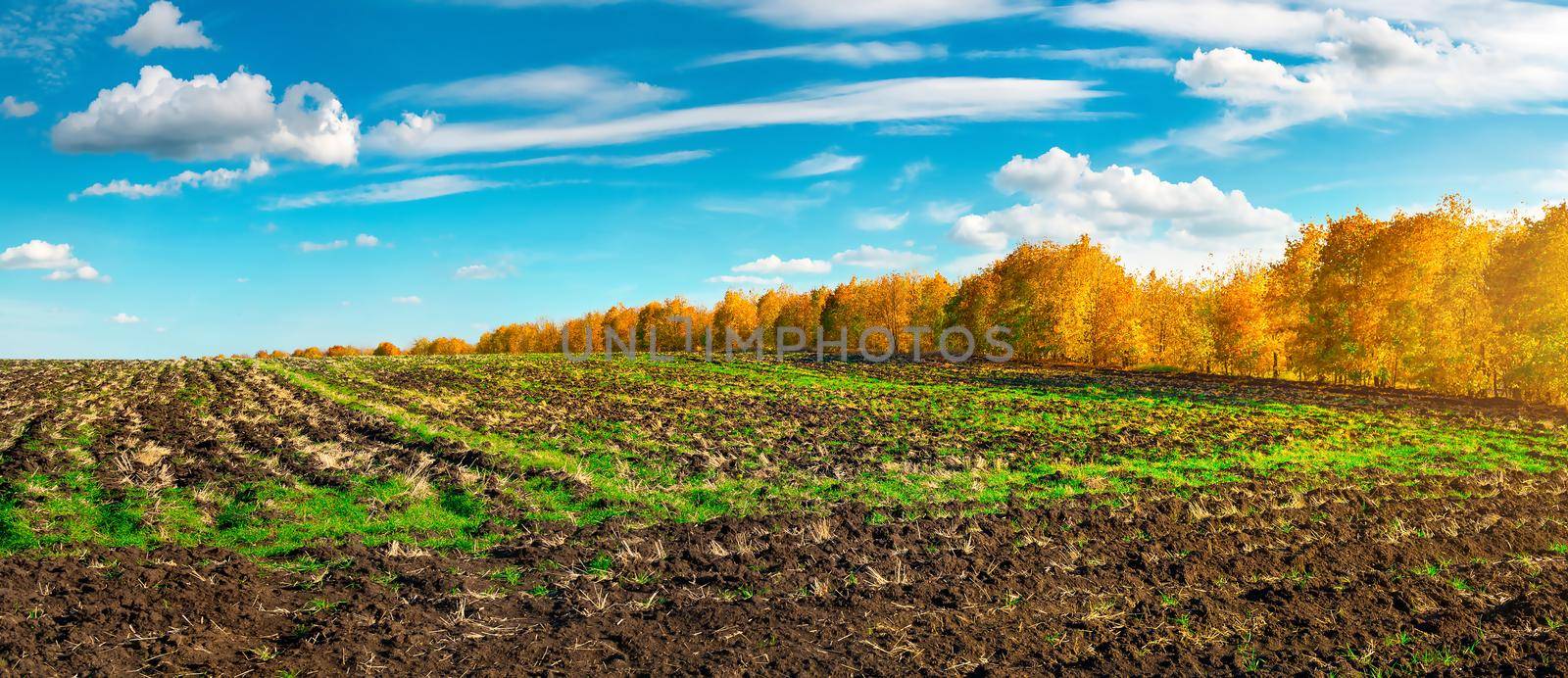 Agro field in autumn by Givaga