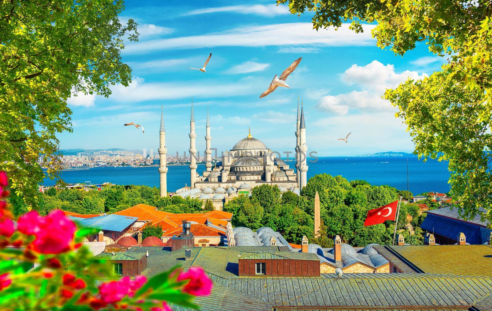 Blue Mosque and flowers by Givaga
