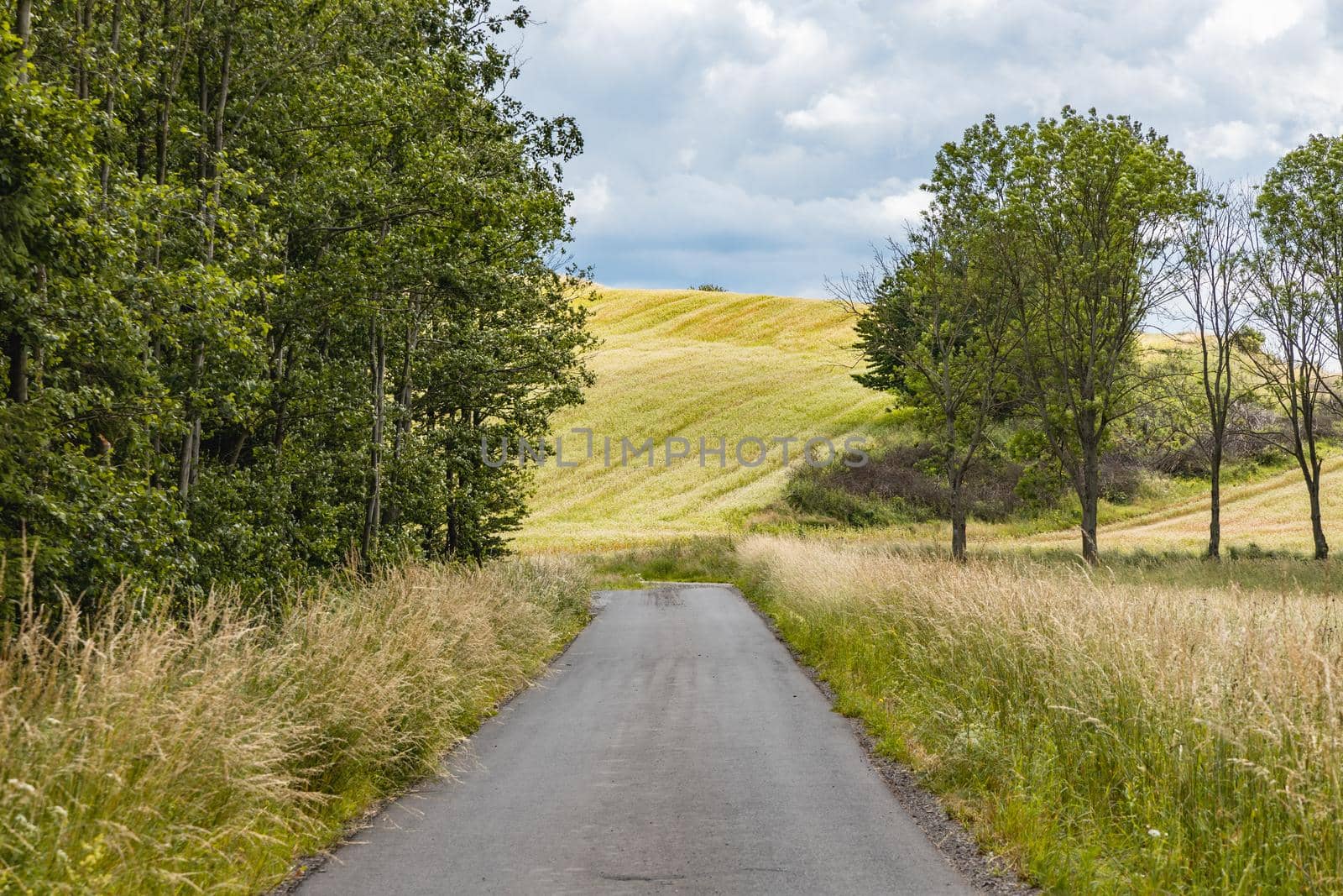 Long mountain trail in Walbrzych mountains with beautiful panorama of mountains