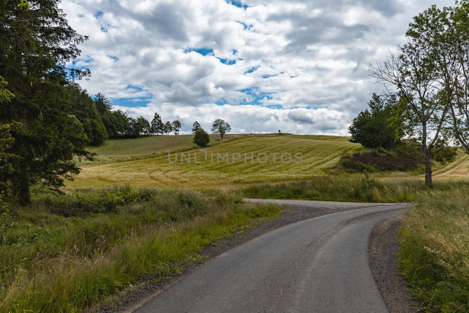 Long mountain trail in Walbrzych mountains with beautiful panorama of mountains by Wierzchu