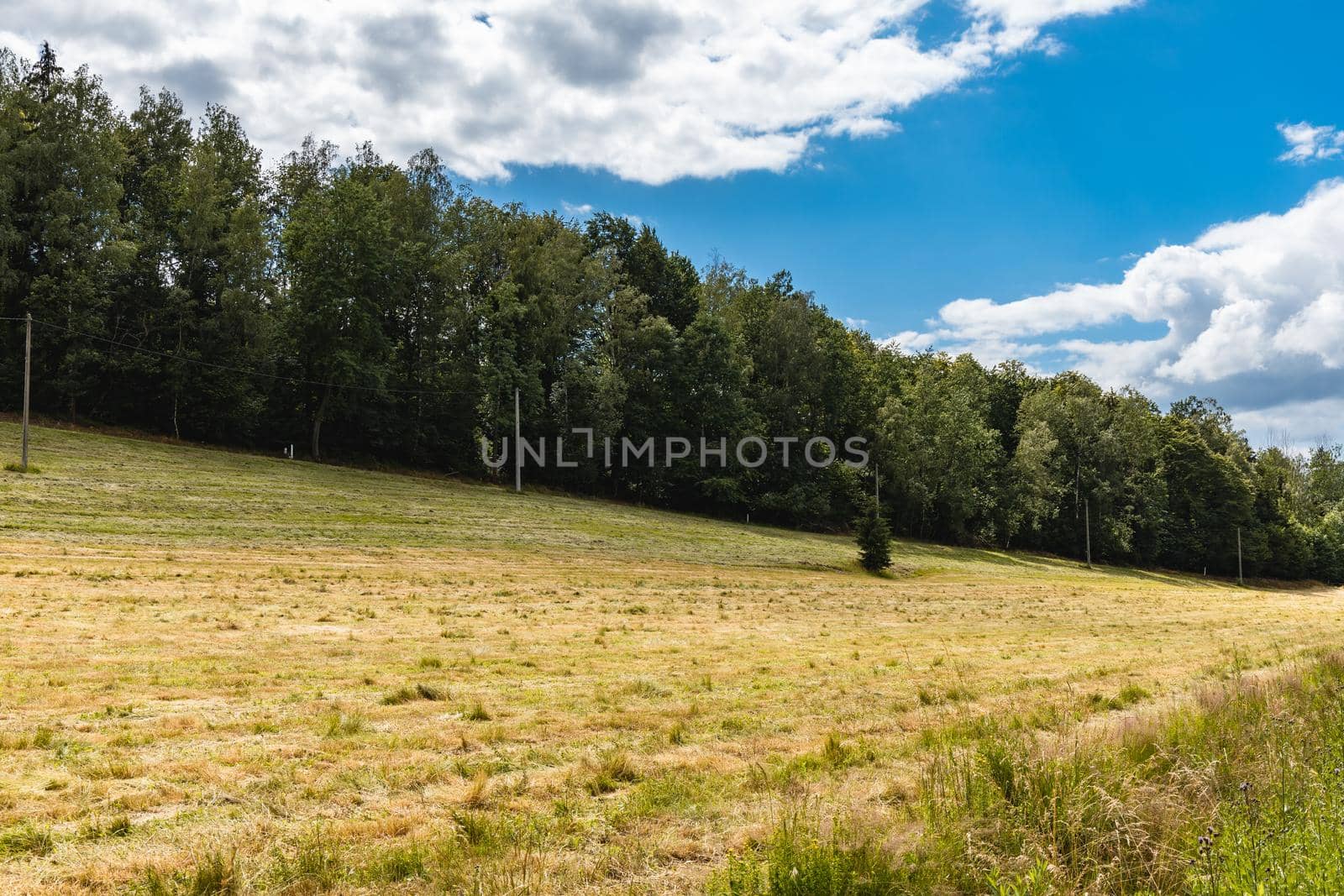 Beautiful panorama of trees bushes and fields in Walbrzych mountains