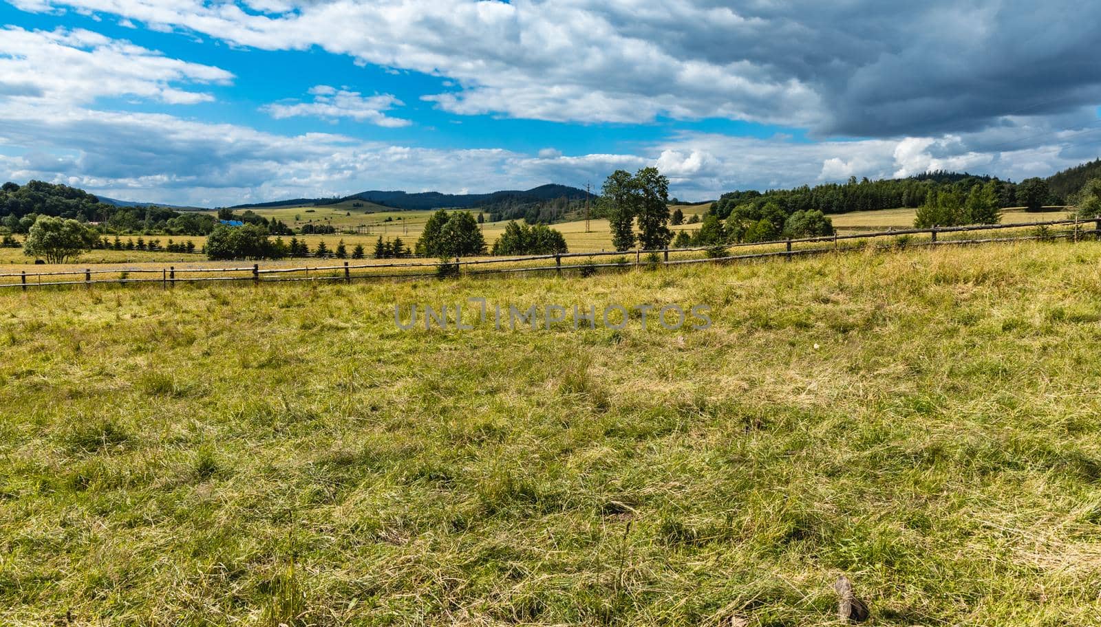 Beautiful panorama of trees bushes and fields in Walbrzych mountains by Wierzchu