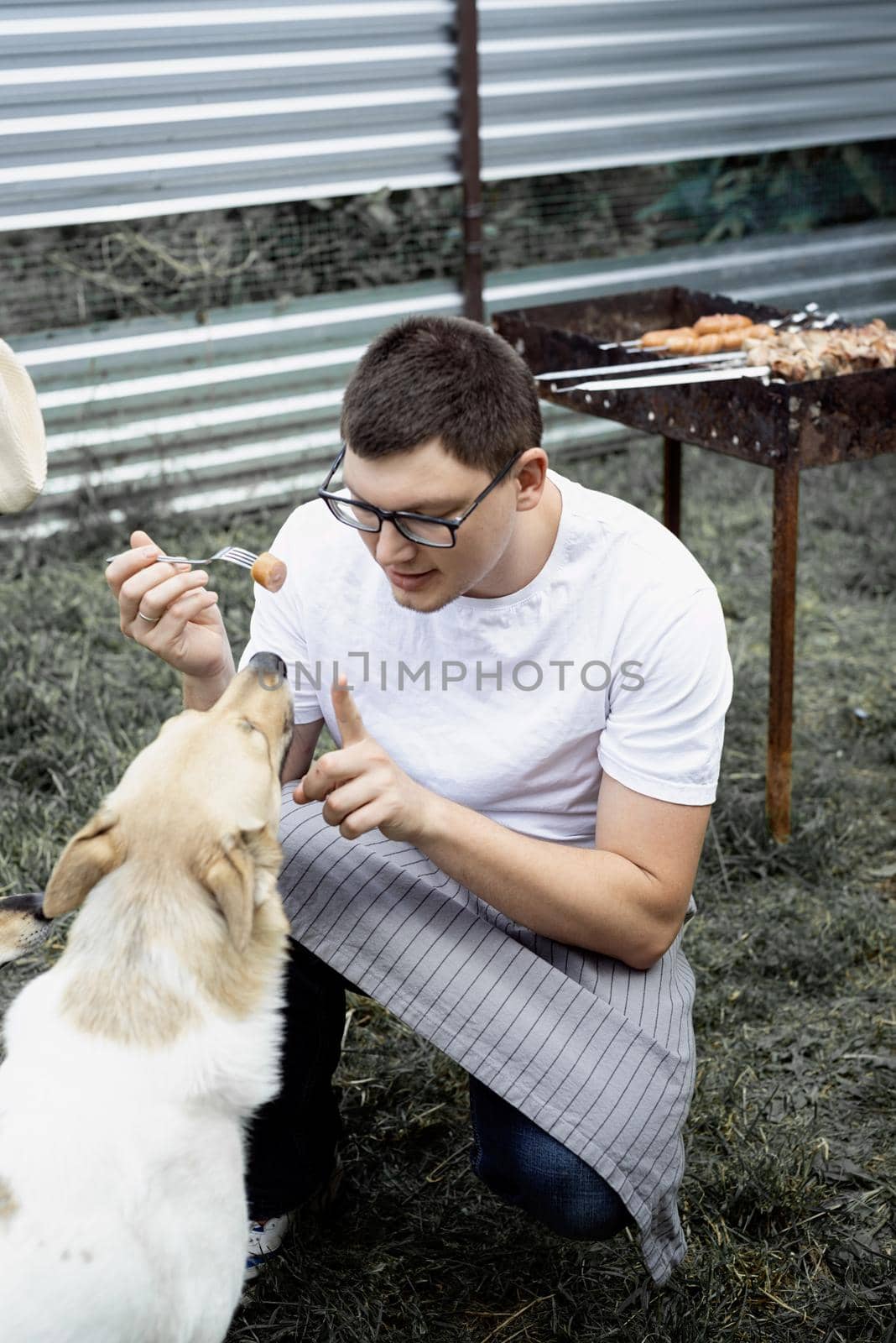 Caucasian man gives a snack to his dog, walking outdoors in the backyard