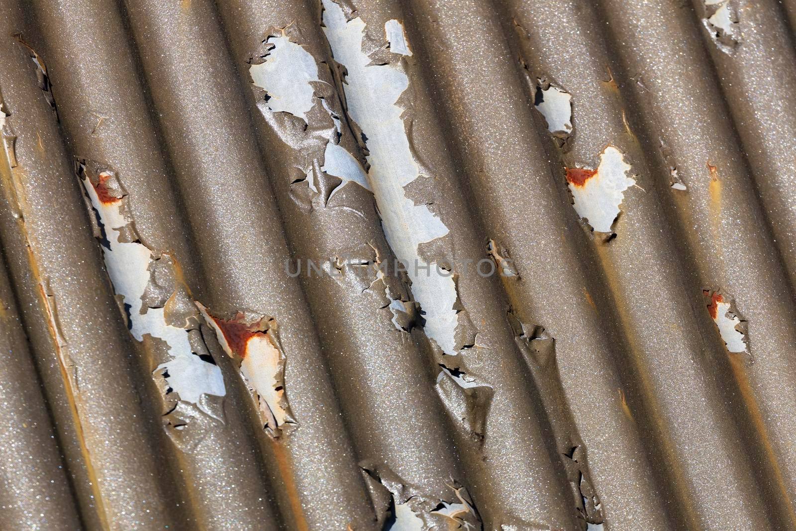 Photograph of brown paint peeling off a corrugated iron roof due to exposure to the environment