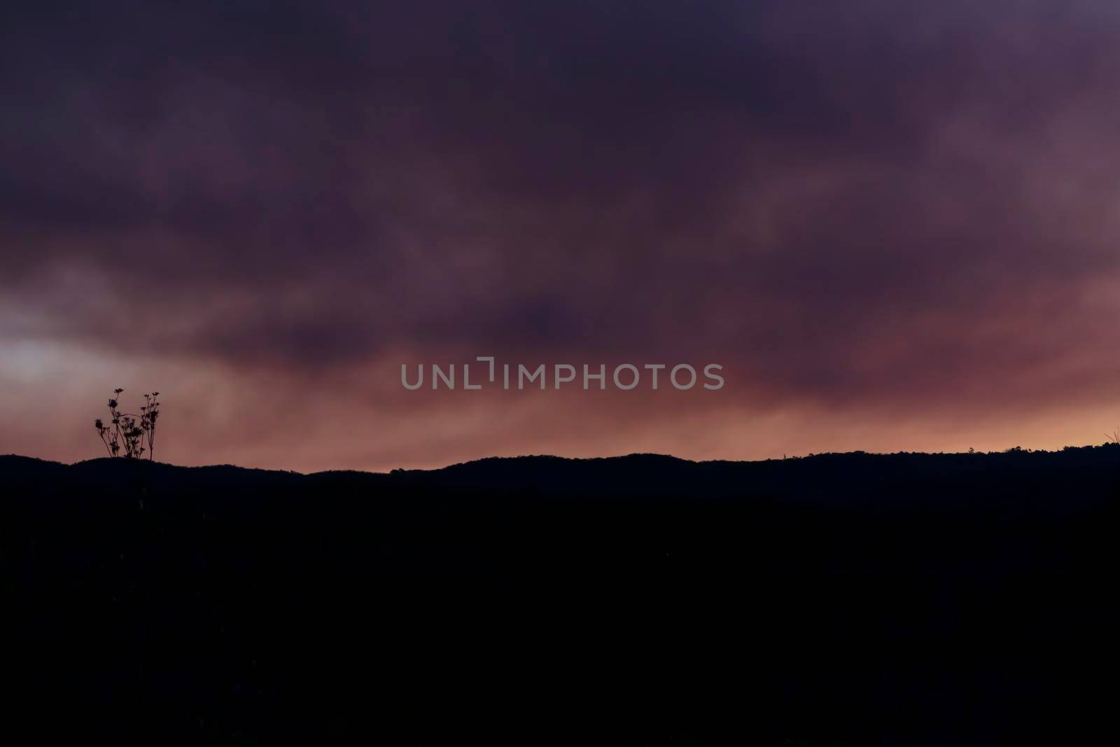 Photograph of bushfire smoke in The Blue Mountains in Australia by WittkePhotos