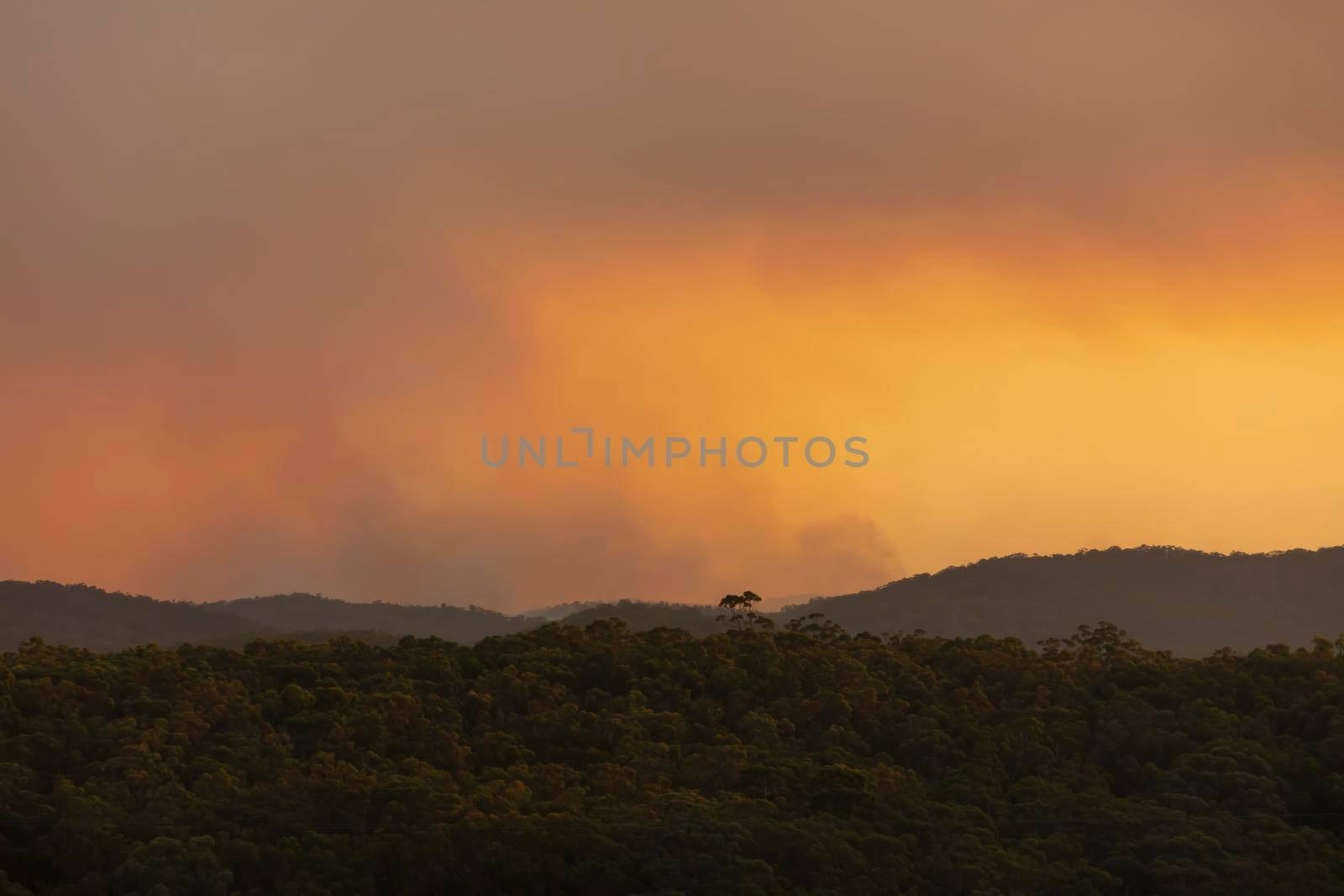 Photograph of bushfire smoke in The Blue Mountains in Australia by WittkePhotos