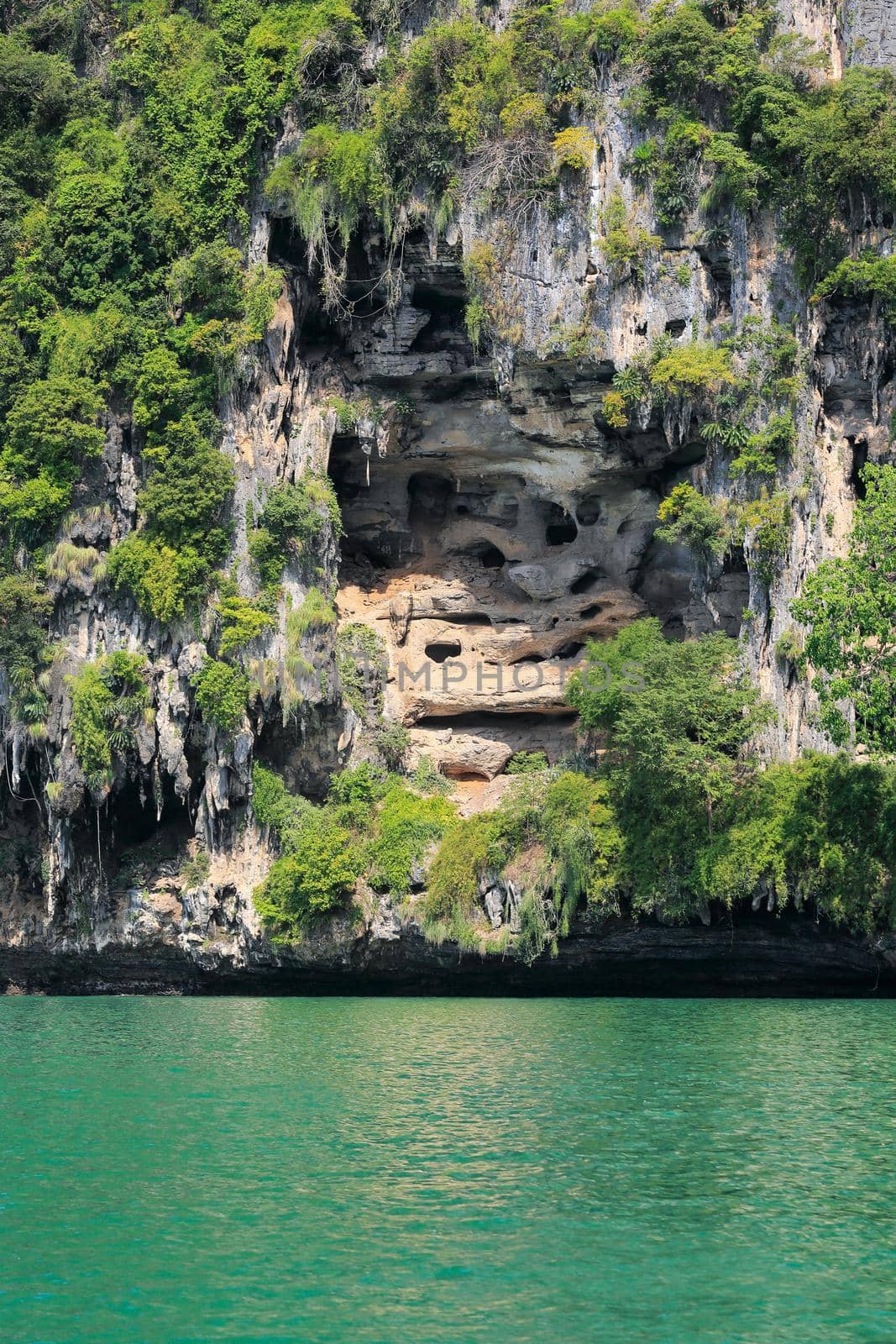 Railay cliff near Ao Nang ,Krabi Thailand. by toa55