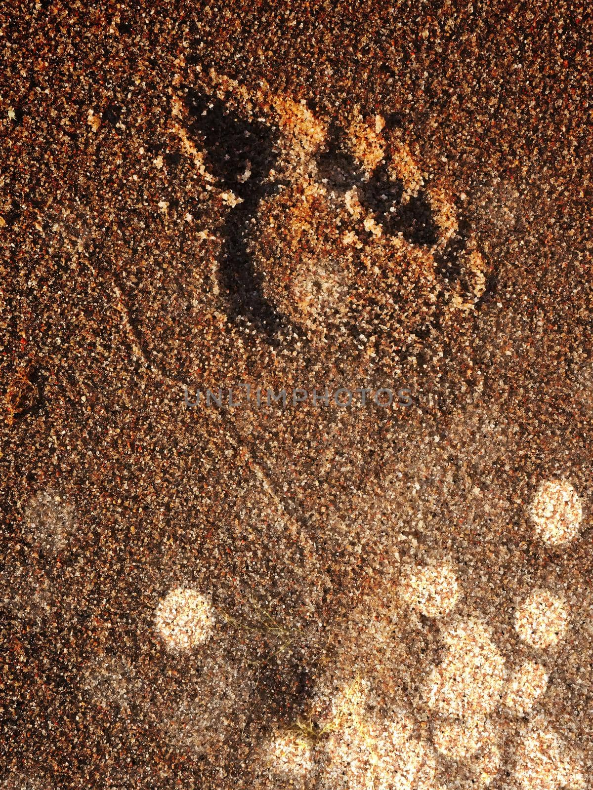 Footprints on sand. Human imprints, prints, tracks on sandy surface. Barefoot, feet, toes marks. Vacation travel wanderlust  by rdonar2