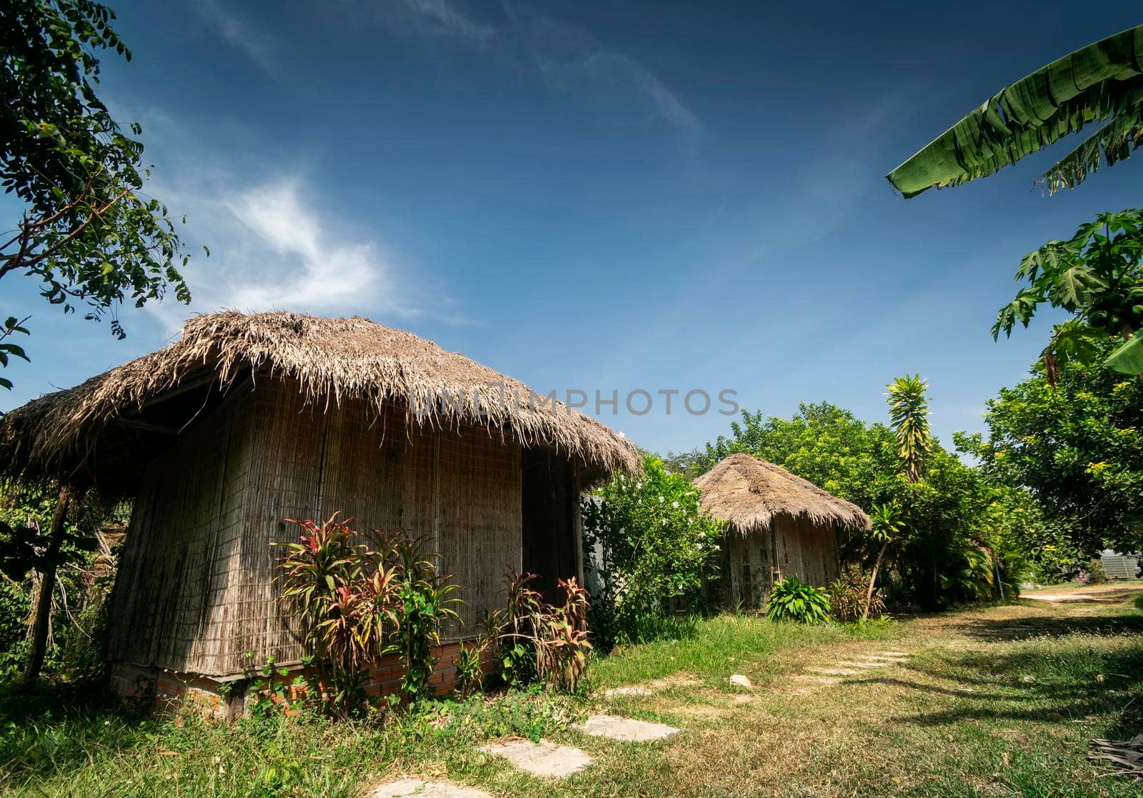 traditional bungalow in tropical fruit farm plantation near kampot cambodia by jackmalipan