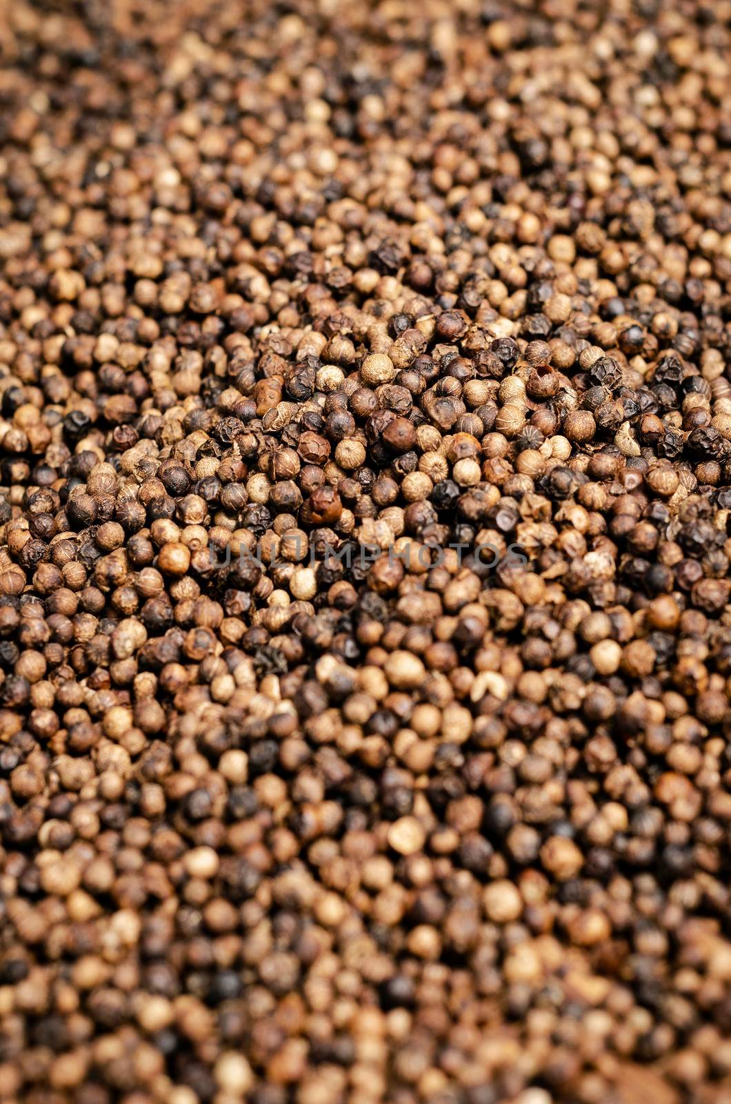 close-up of kampot pepper peppercorns drying in cambodia by jackmalipan