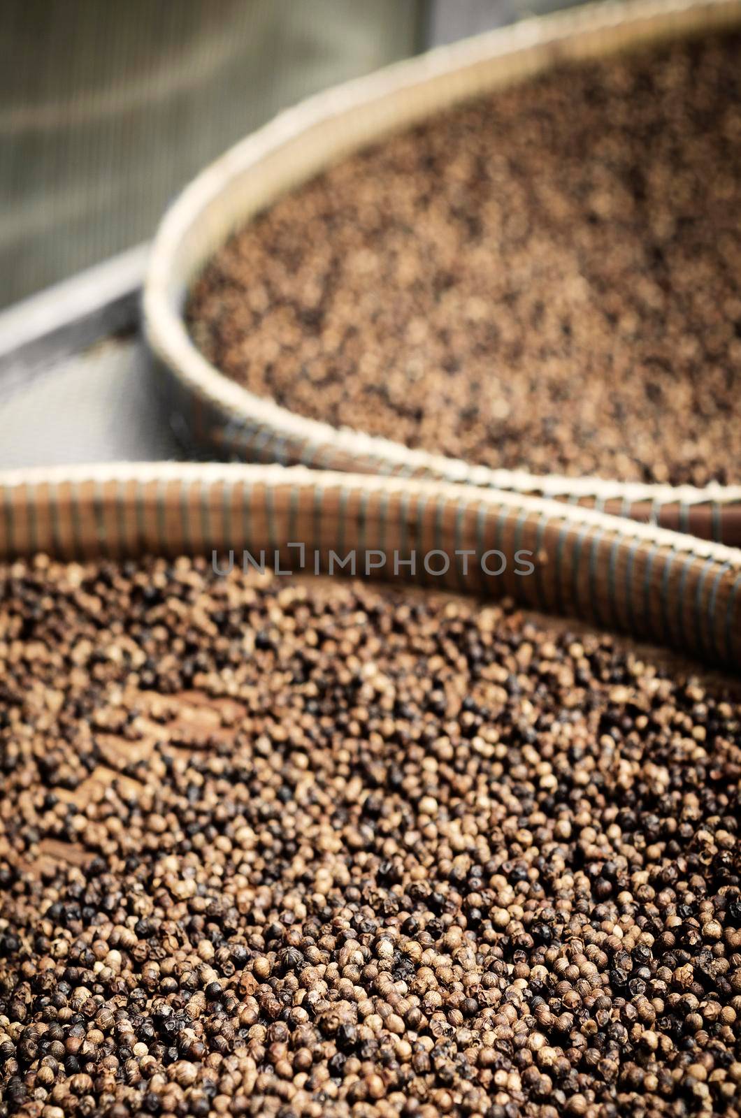 detail of trays of kampot organic pepper inside drying room in cambodia