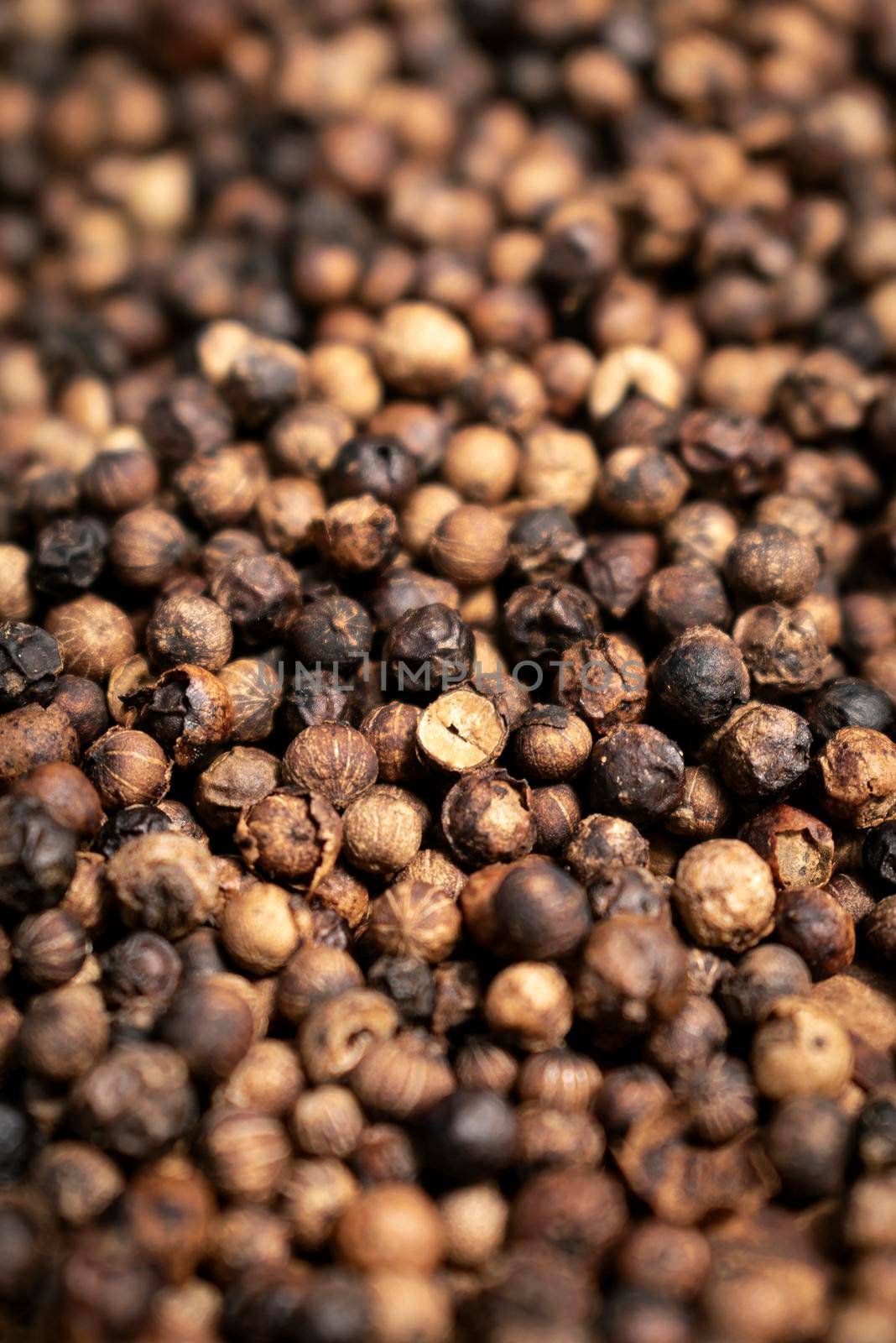 close up of kampot organic pepper peppercorns drying in the sun in cambodia