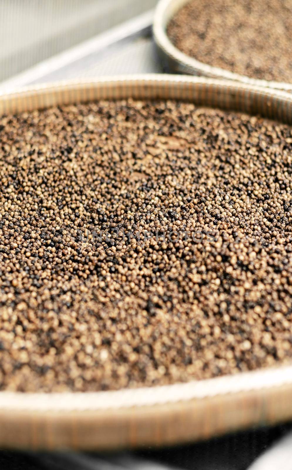 trays of kampot organic pepper in drying room in cambodia by jackmalipan