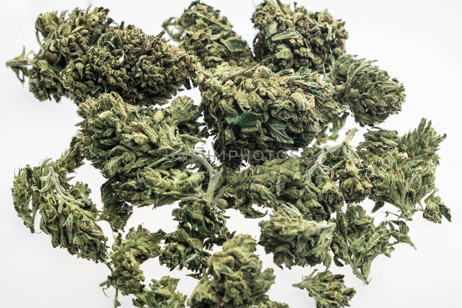 US medical marijuana cannabis buds closeup on white studio background in california