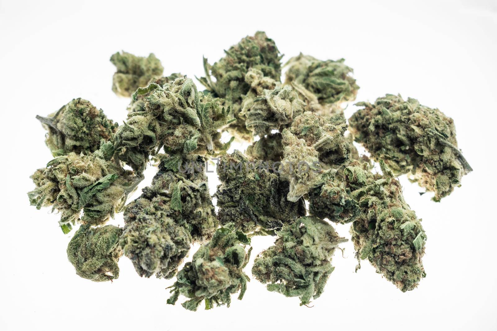 US medical marijuana cannabis buds closeup on white studio background in california