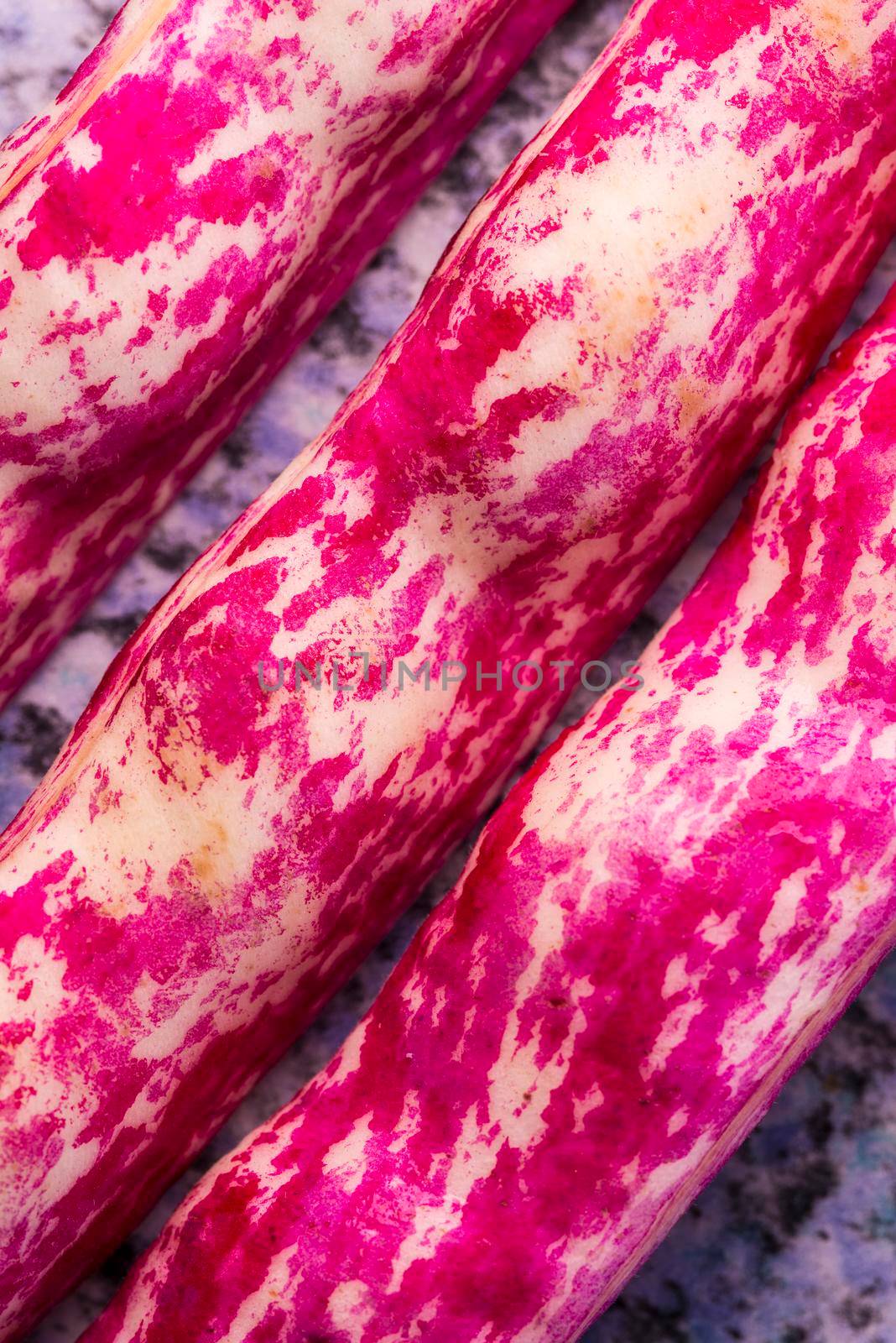 Pinto beans, pod in a closeup by Jochen