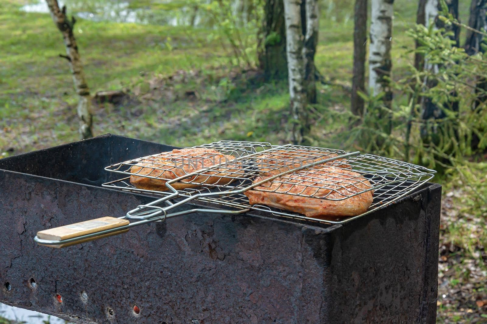 Pieces of meat in the grill are fried on the fire, the background is blurred. Stock photo.