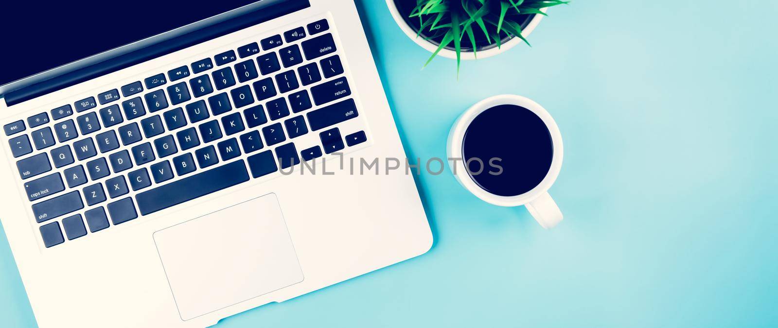 Flat lay of Laptop computer and plant and cup of coffee on desk in office, workplace and notebook and potted tree, workspace and copy space, top view, object with above, business concept. by nnudoo