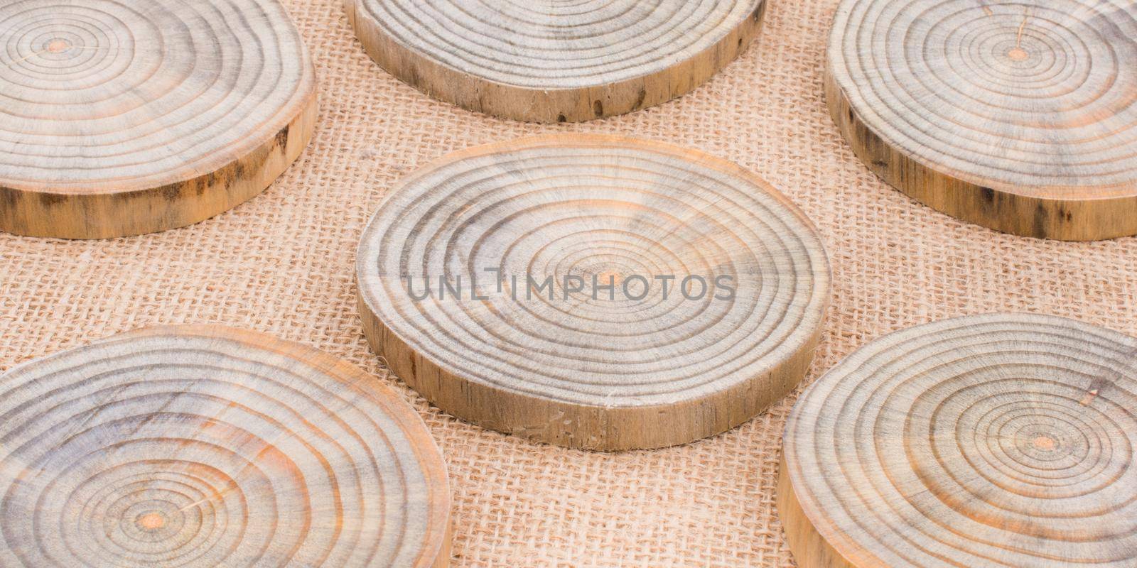 Wood Logs cut in round thin pieces  by berkay