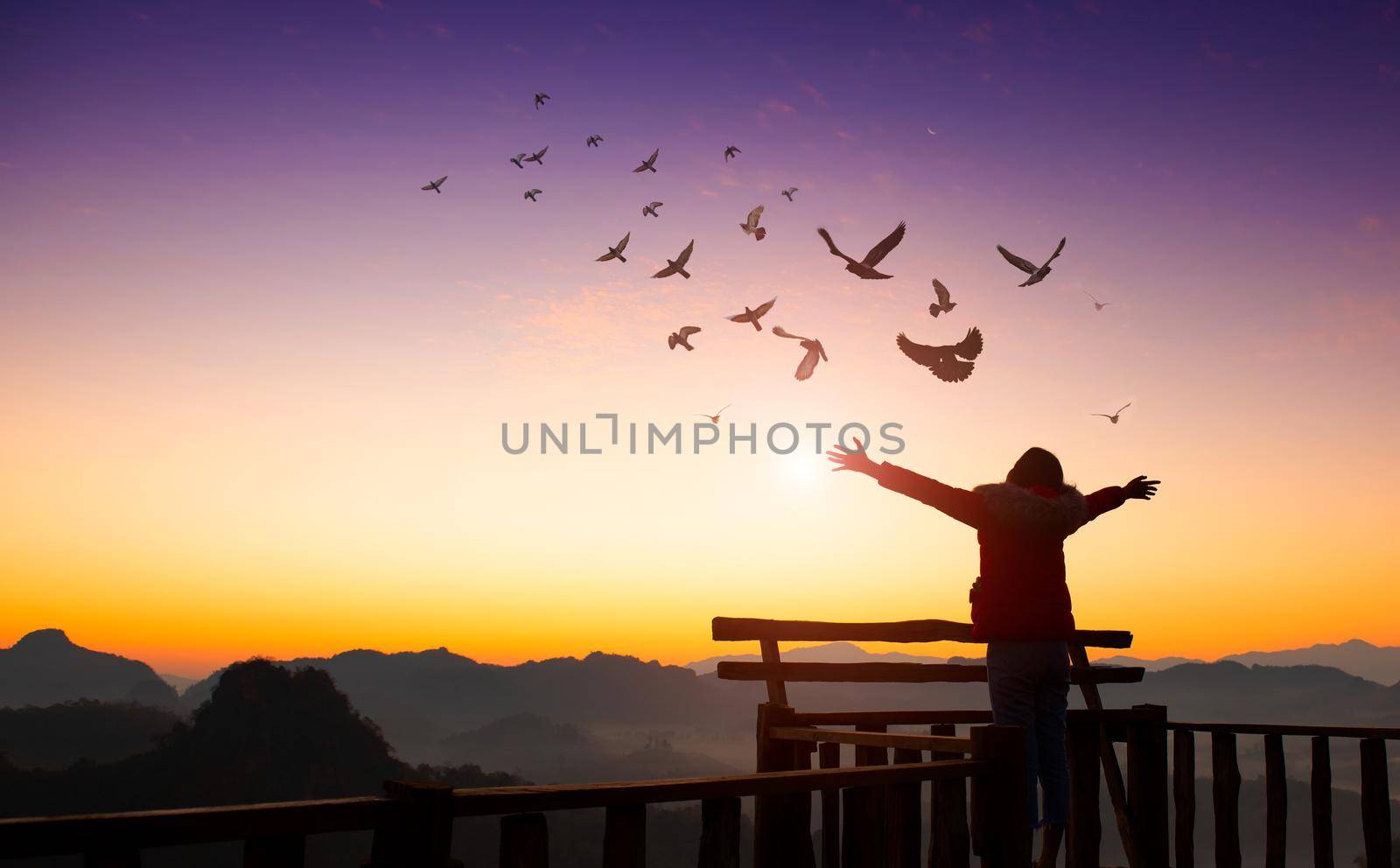 Girl raise hand up on top of mountain and sunset with birds flying in sky. freedom travel adventure concept. by thanumporn