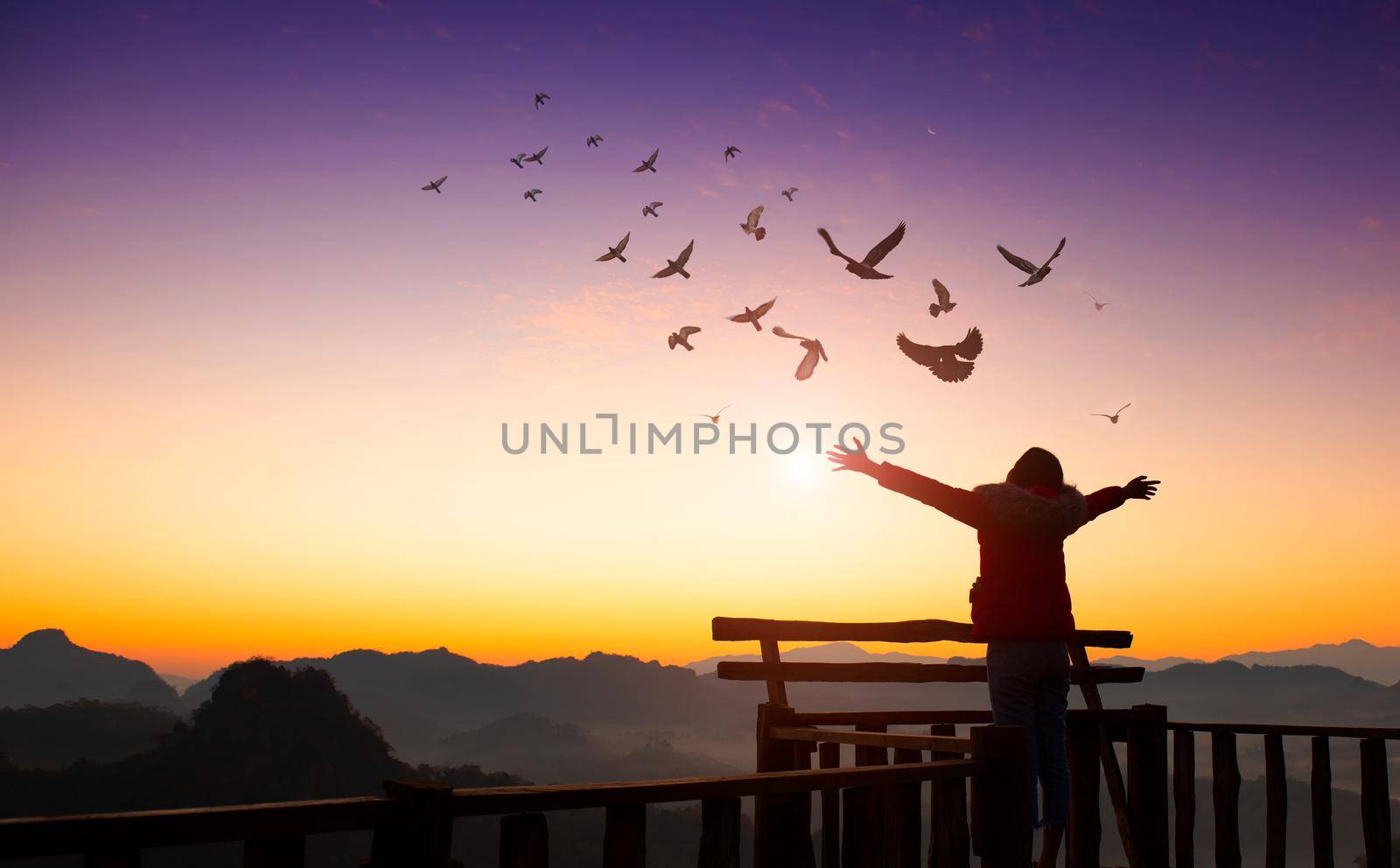 Girl raise hand up on top of mountain and sunset with birds flying in sky. freedom travel adventure concept.