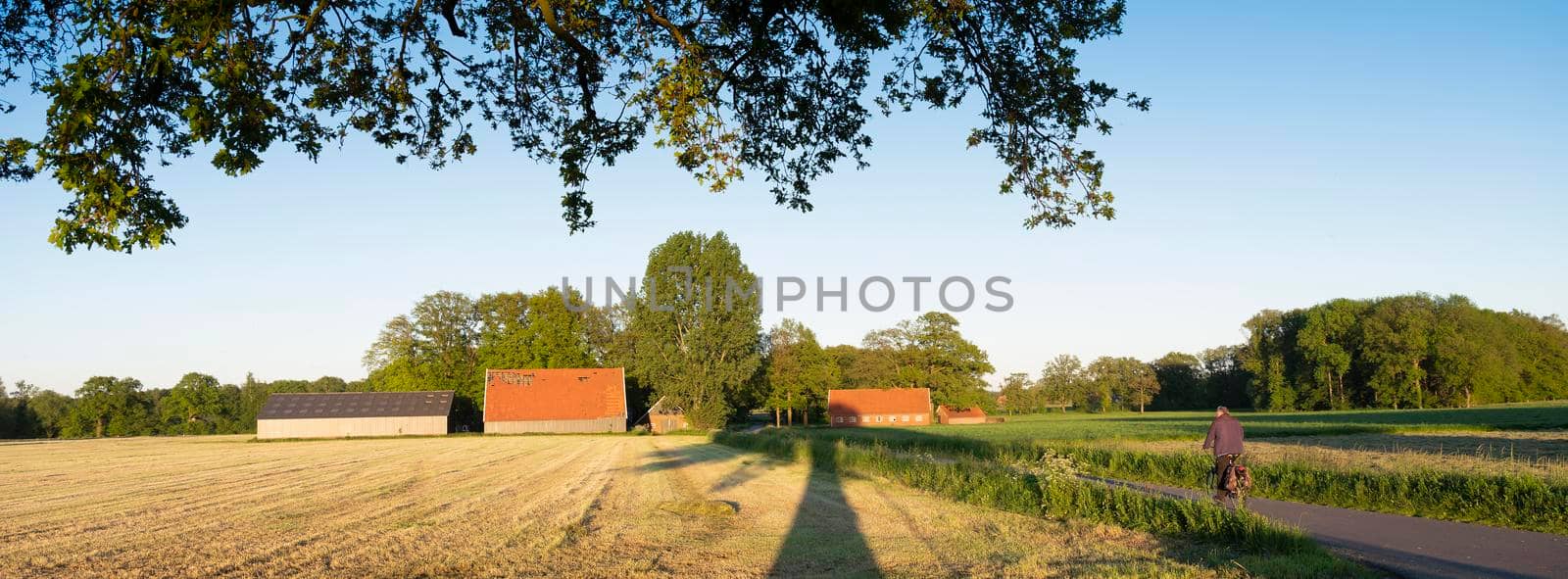 man rides bike towards old barns and farm at sunset in rural area of twente near oldenzaal in the netherlands