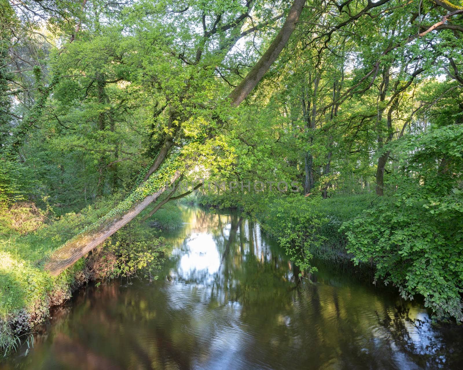 river Dinkel near village of Losser in part of dutch province of overijssel called Twente by ahavelaar