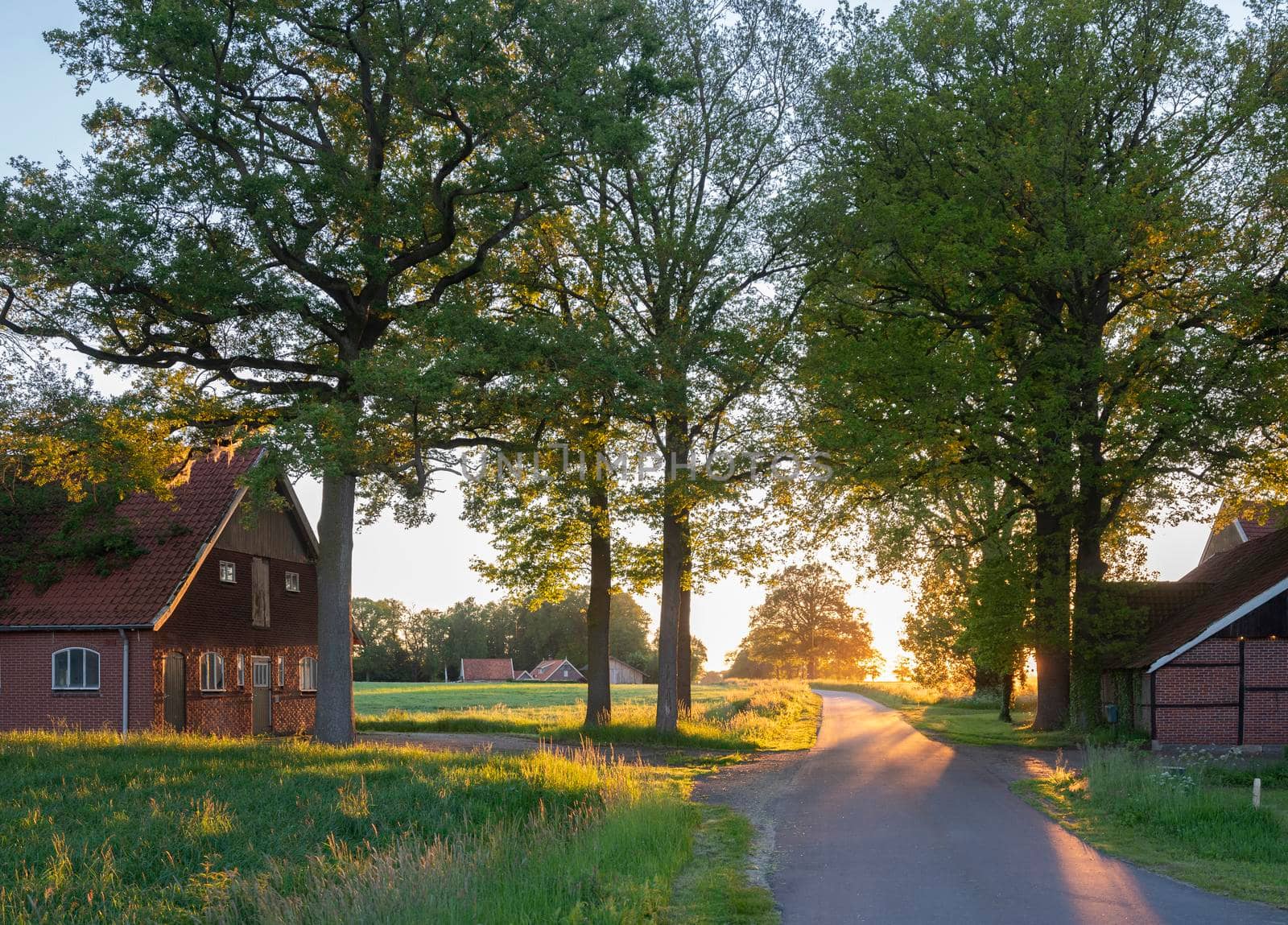 old barns and farm at sunset in rural area of twente near oldenzaal and denekamp in the netherlands