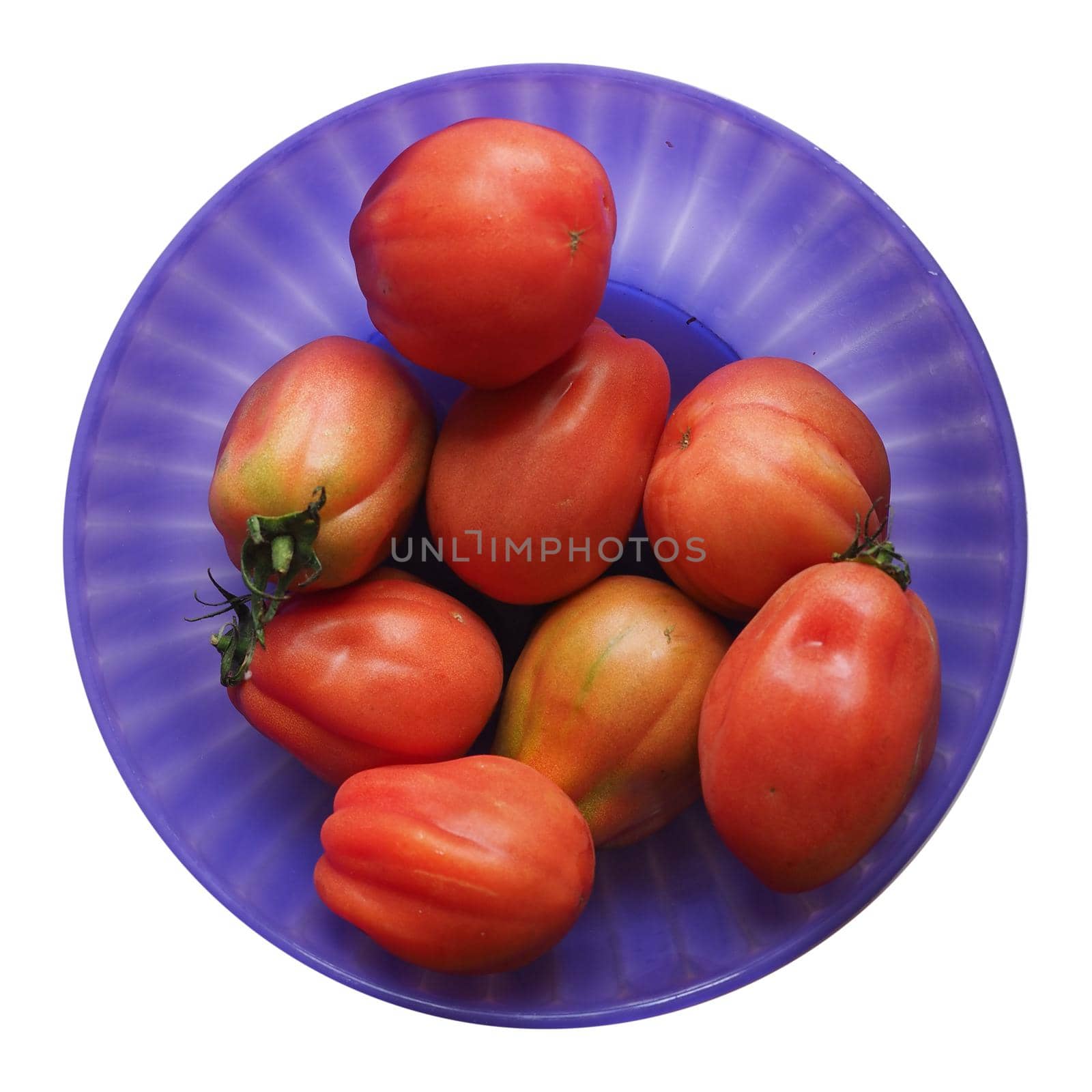 tomatoes (scientific name Solanum lycopersicum) vegetables vegetarian food