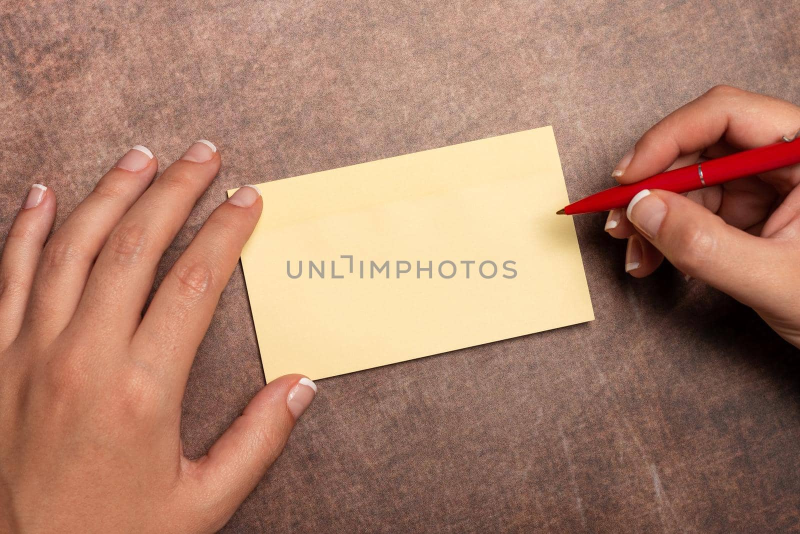 Writing Important Notes Drawing New Design Composing Letter Ideas