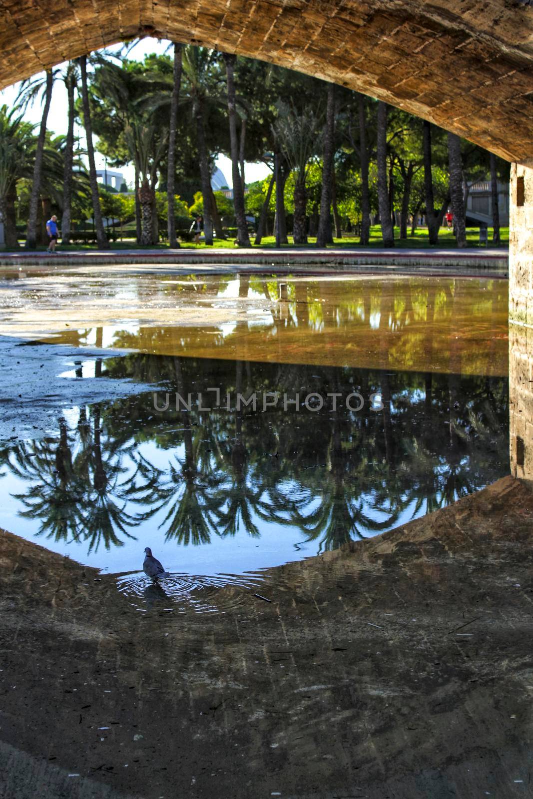 Stone bridge and reflections in a park puddle