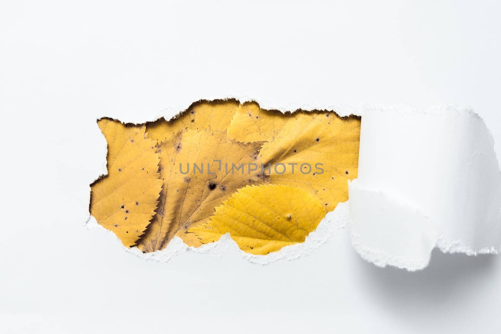 Tear on sheet reveals background behind the front side