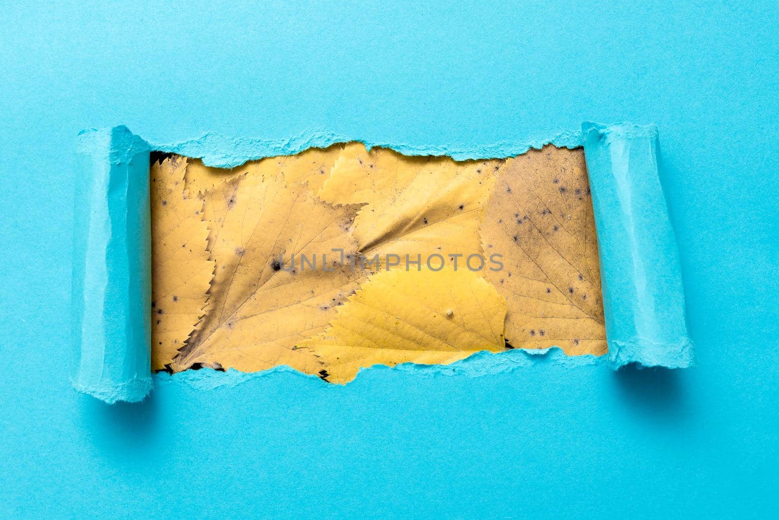 Tear on sheet reveals background behind the front side