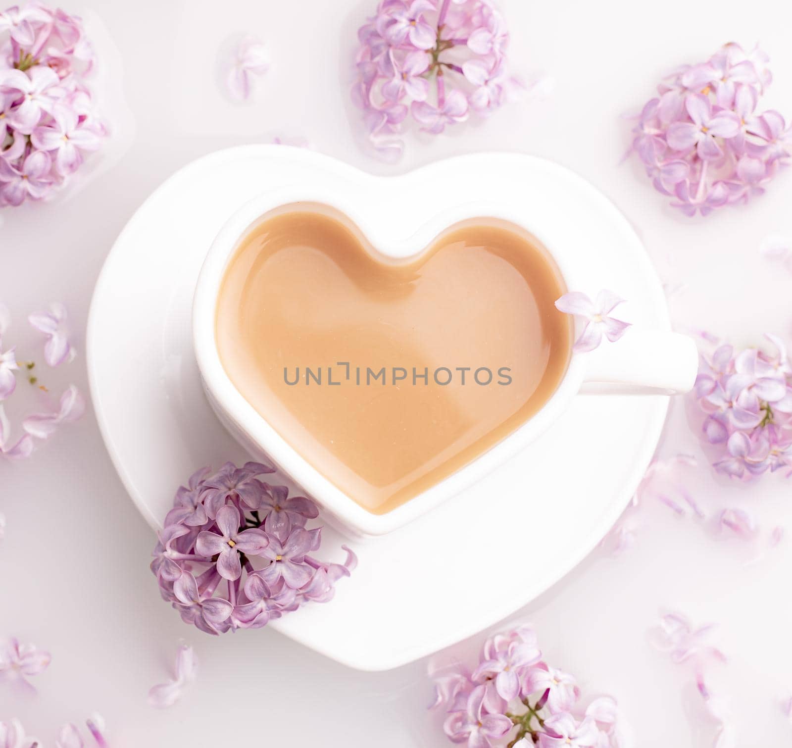 Cappuccino coffee in a cup and a branch of lilac on a white background . A hot drink. relax. The concept of cafeteria advertising. Article about cappuccino. Making cappuccino. Lilac branches. Spring.