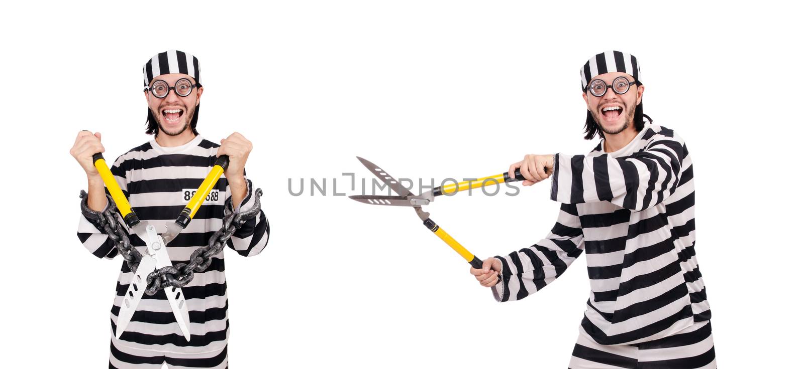 Prison inmate isolated on the white background