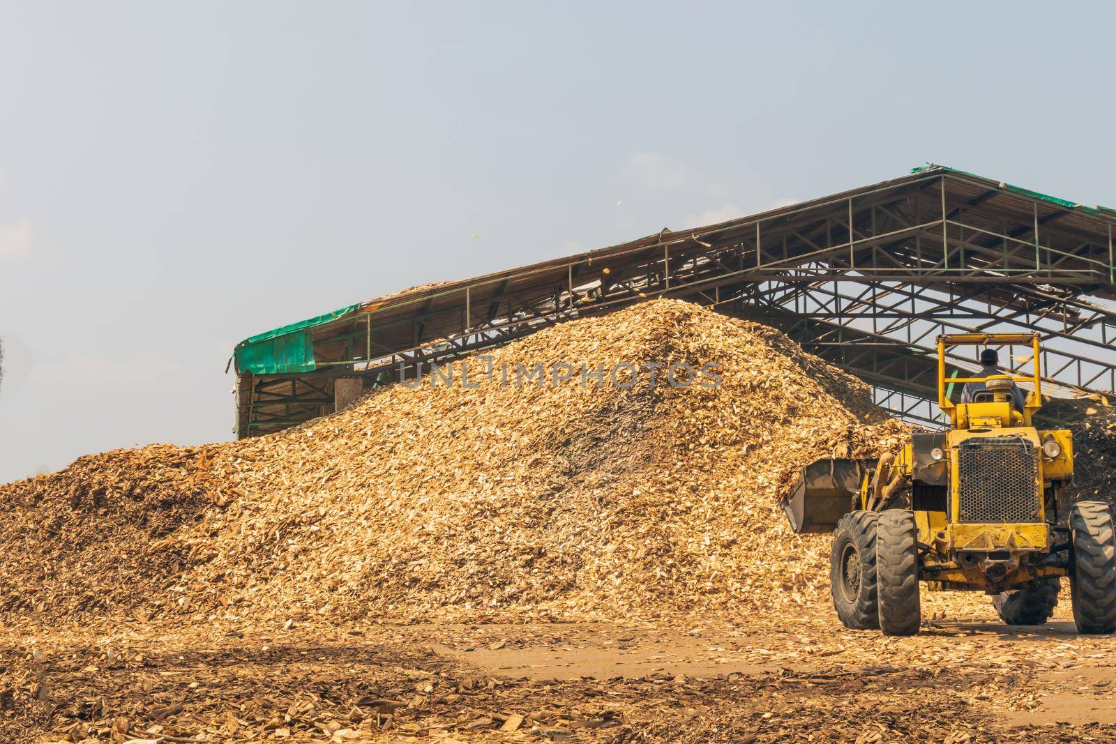 Employees are using forklifts to scoop up wood chips by suththisumdeang