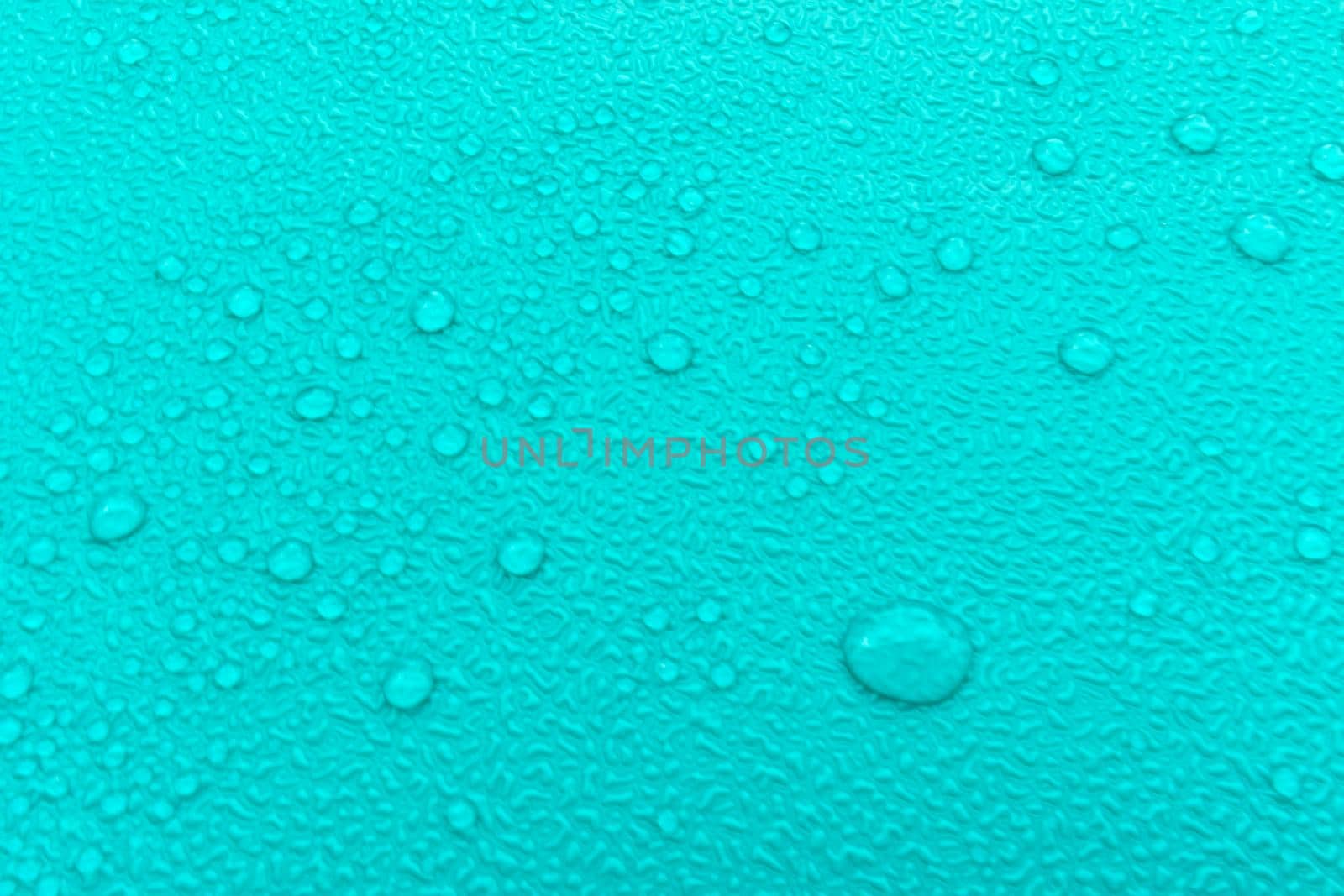 water droplets on green texture background