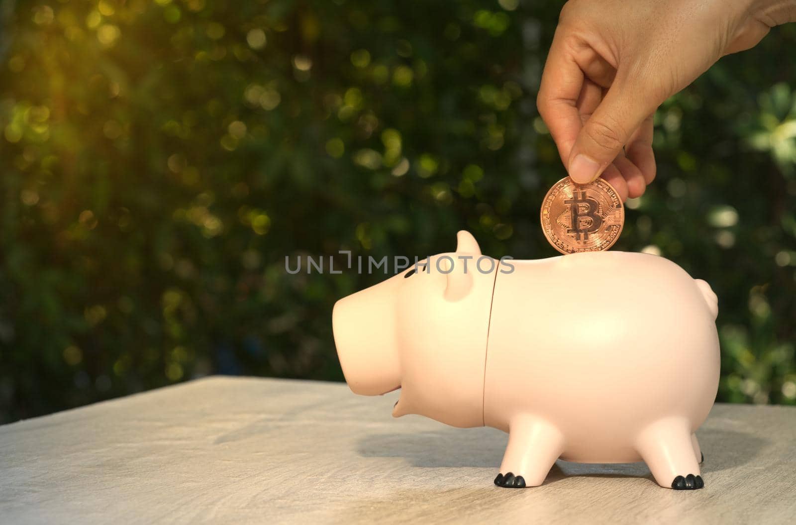An abstract hand holding a coin of cryptocurrency (Bitcoin) into a pig-shaped piggy bank is placed on the desk. Ideas for earning a business income and saving for retirement planning.