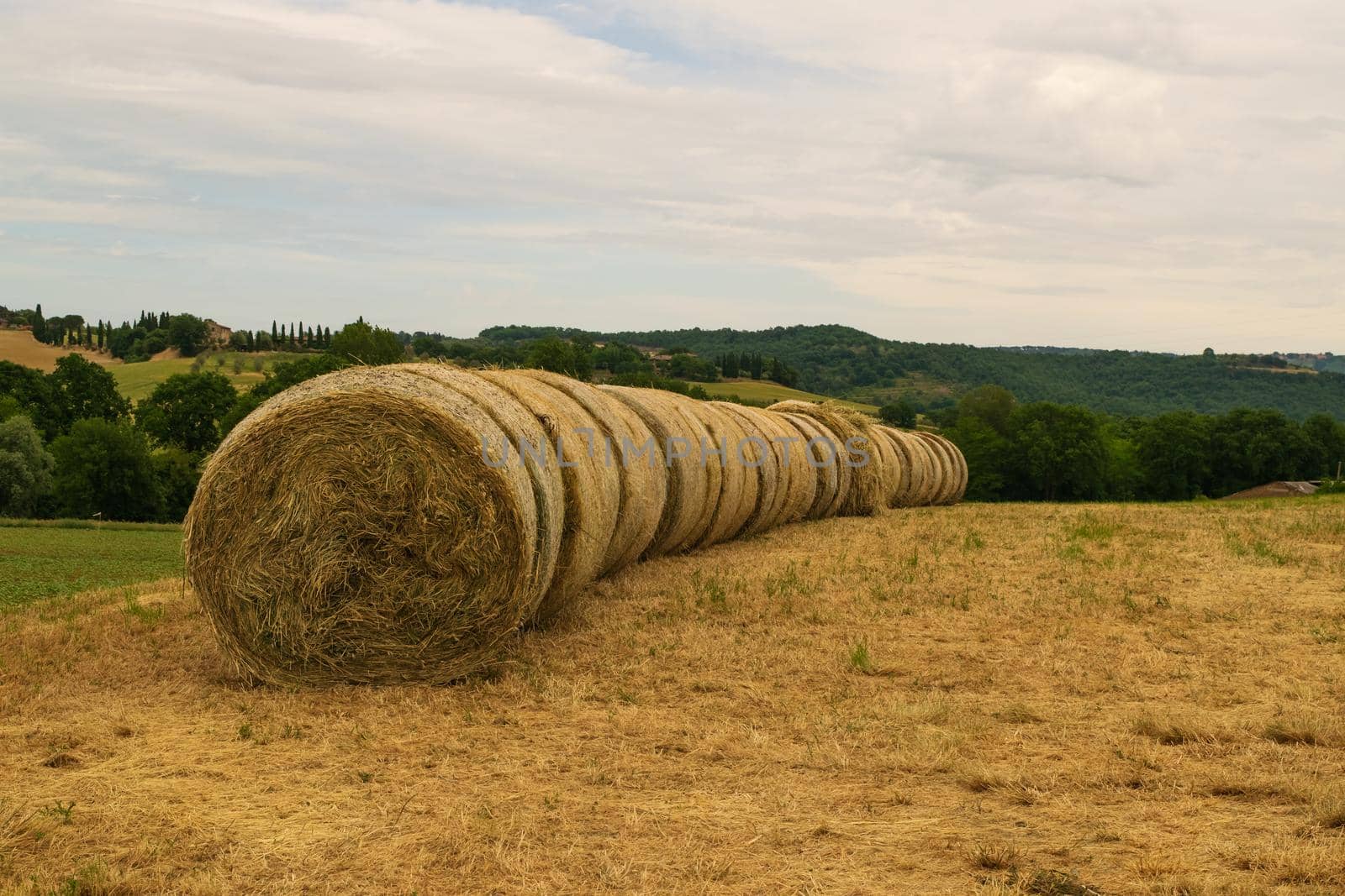 Closeup of some hay bales lying on a Tuscan hill. by silentstock639