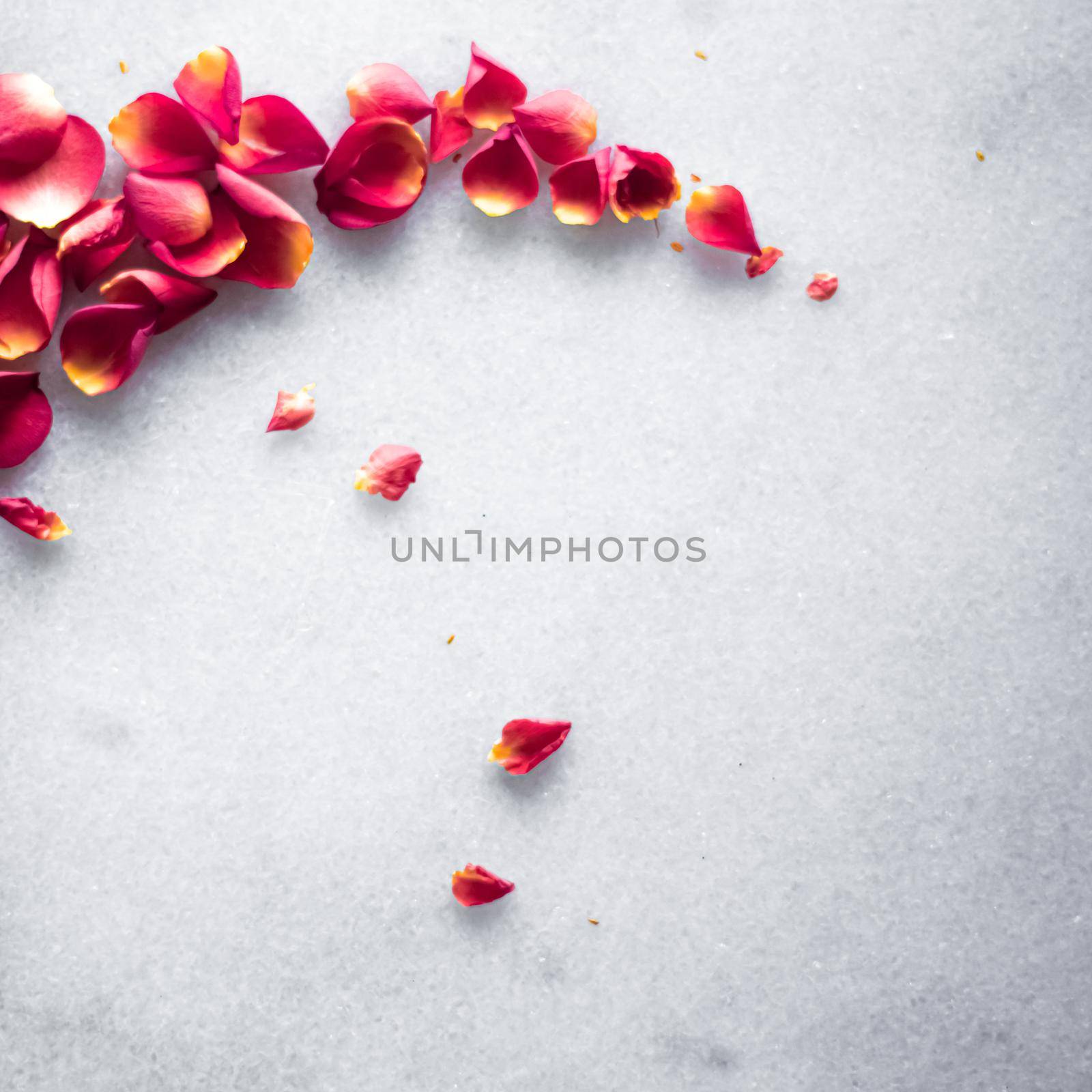 Rose petals on marble background, floral decor and wedding flatlay, holiday greeting card backdrop for event invitation, flat lay design by Anneleven