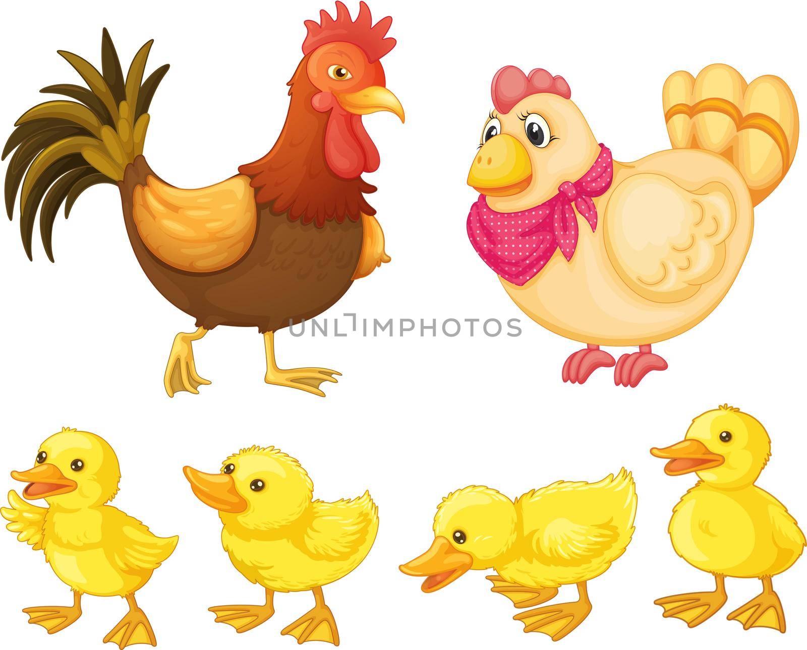 Chicken family by iimages