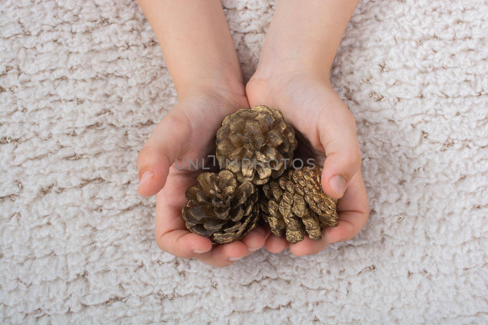 Little boy is holding pine cones in hand on white background