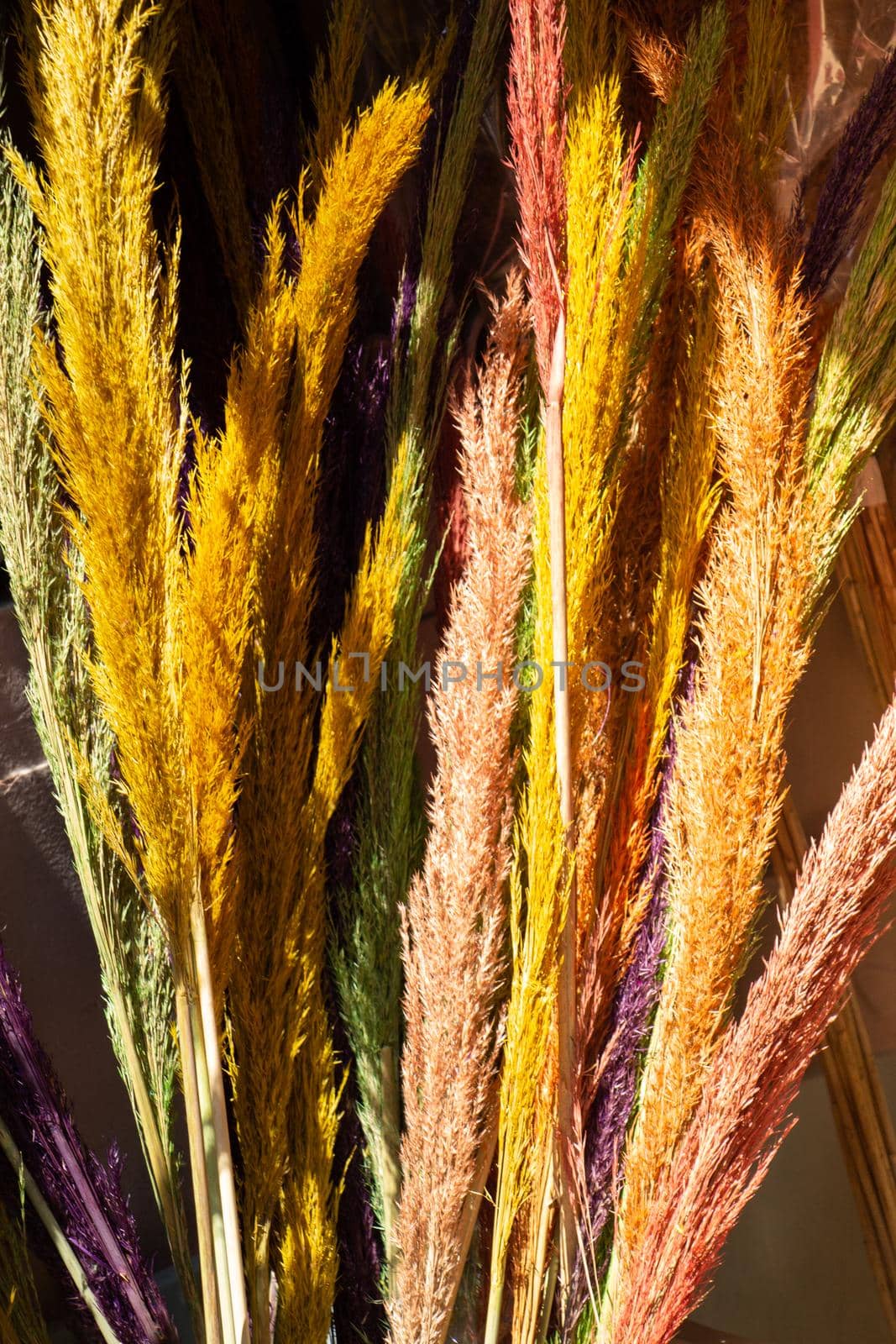 Colorful dried wild flowers for doceration by berkay