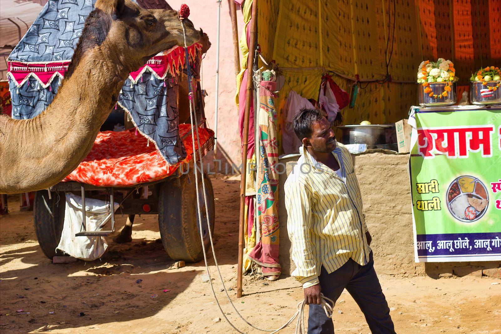 Pushkar, India - November 10, 2016: A man walking his camel in famous pushkar or kartik fair. India's largest camel, horse and cattle fairs by arpanbhatia