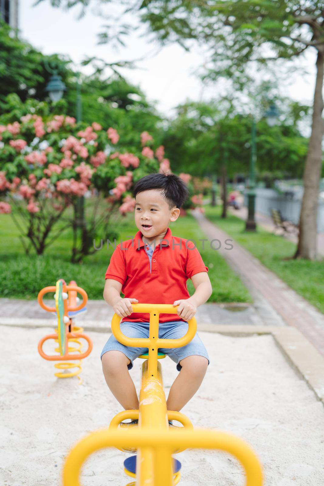 Happy little boy on seesaw outdoors by makidotvn