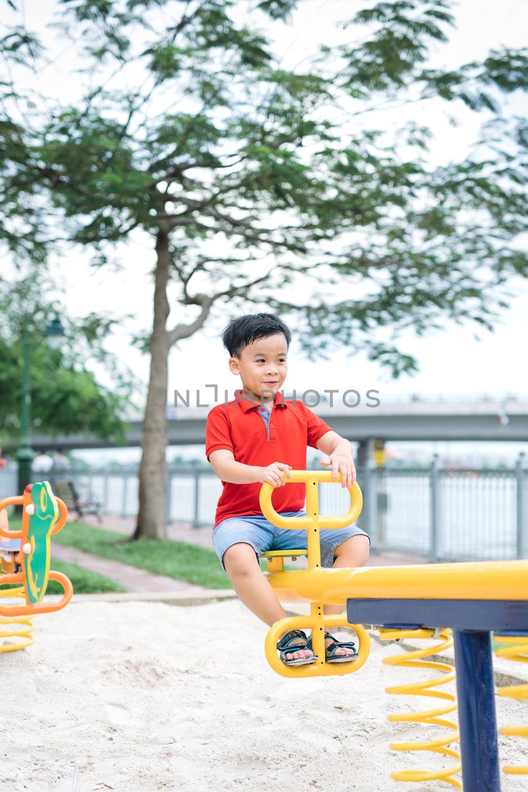 Happy little boy on seesaw outdoors by makidotvn