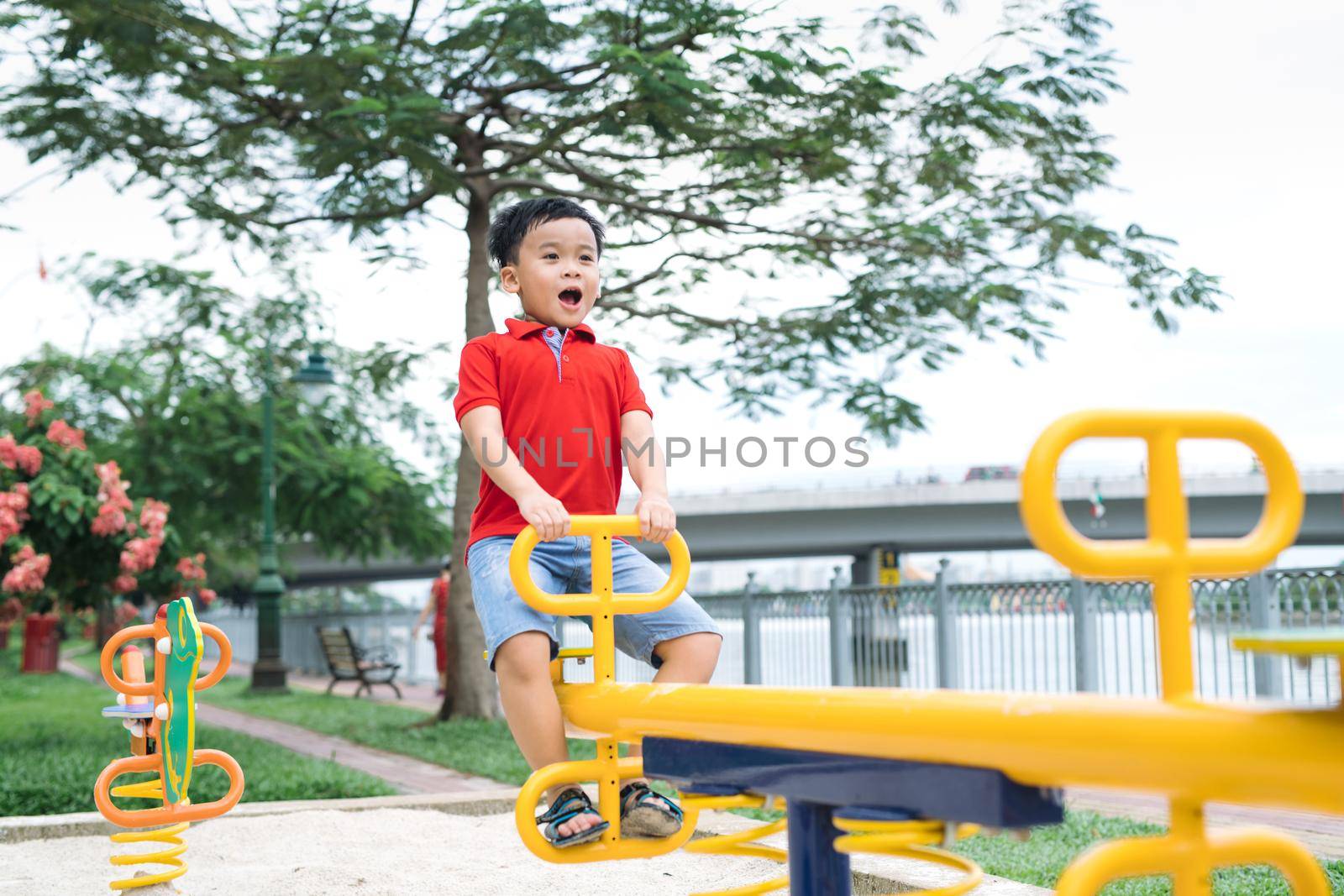 Happy little boy on seesaw outdoors